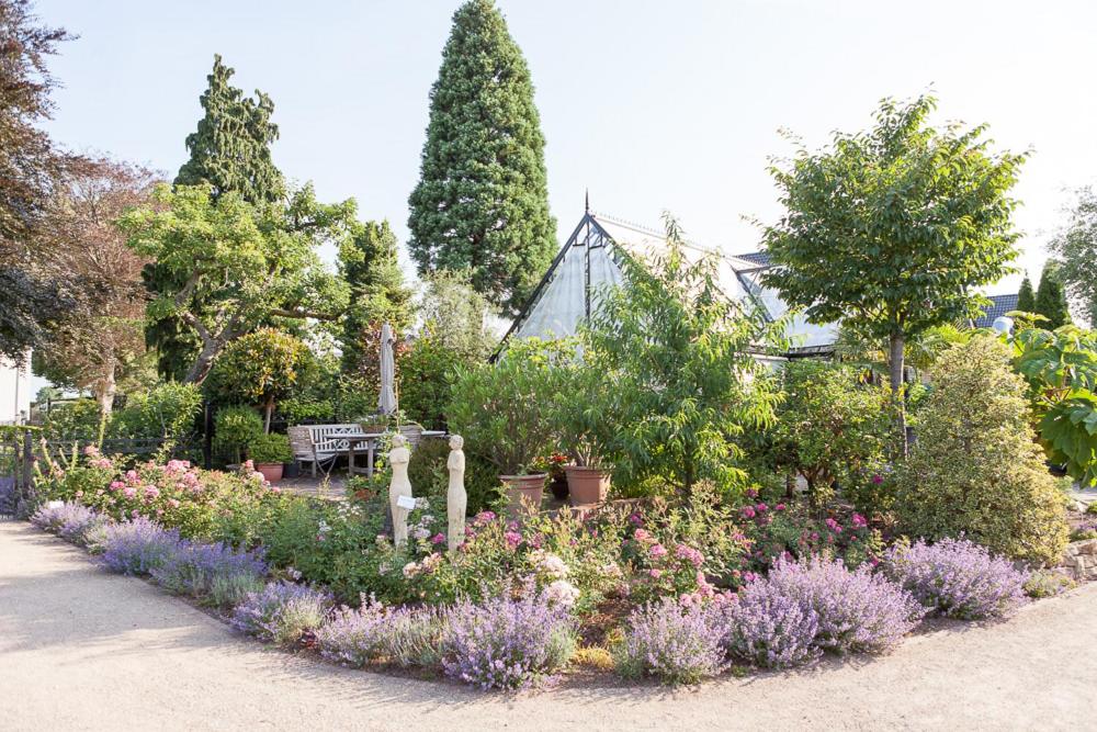 Rooms GUT HEIDEFELD
