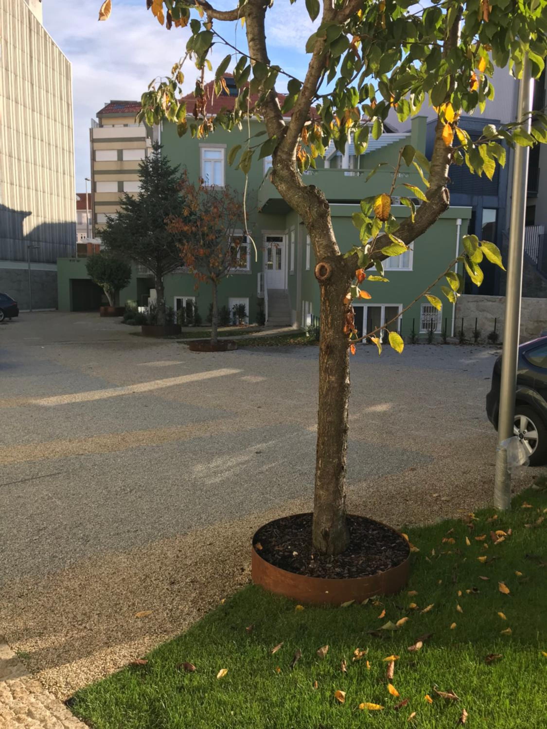 parking