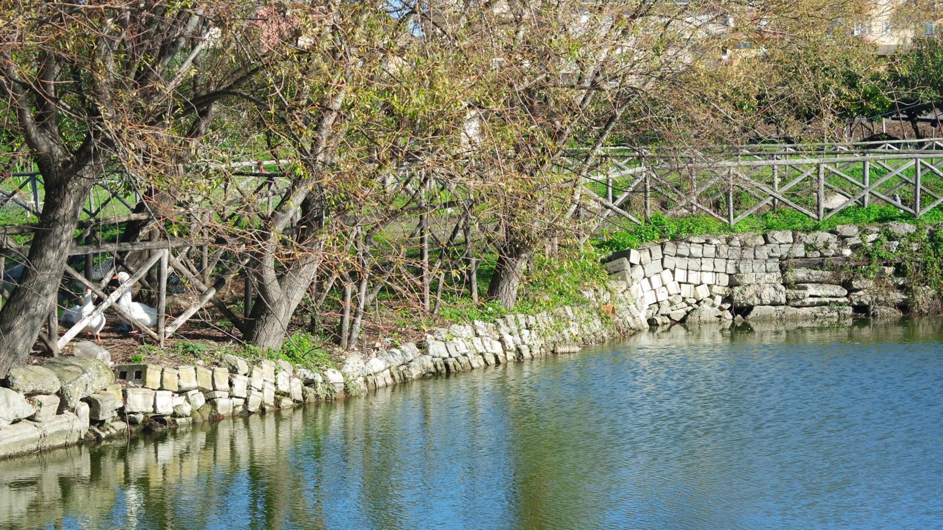 Photo 44