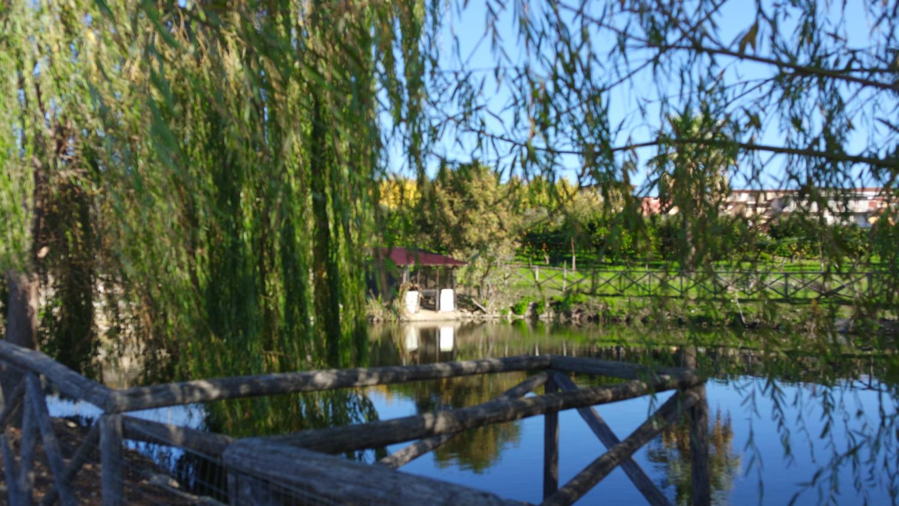 Photo 45