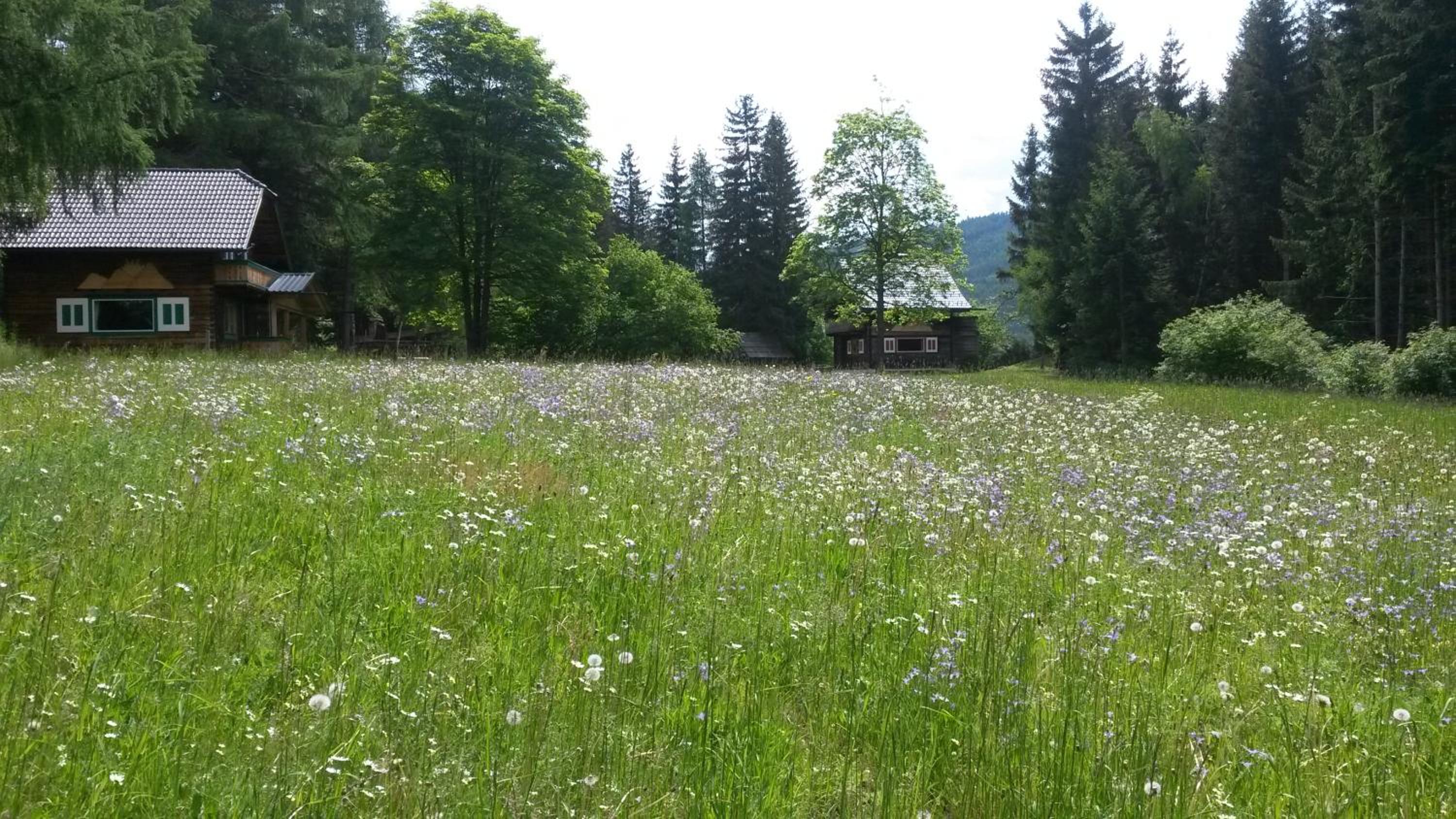 Ferienhäuser Stohl