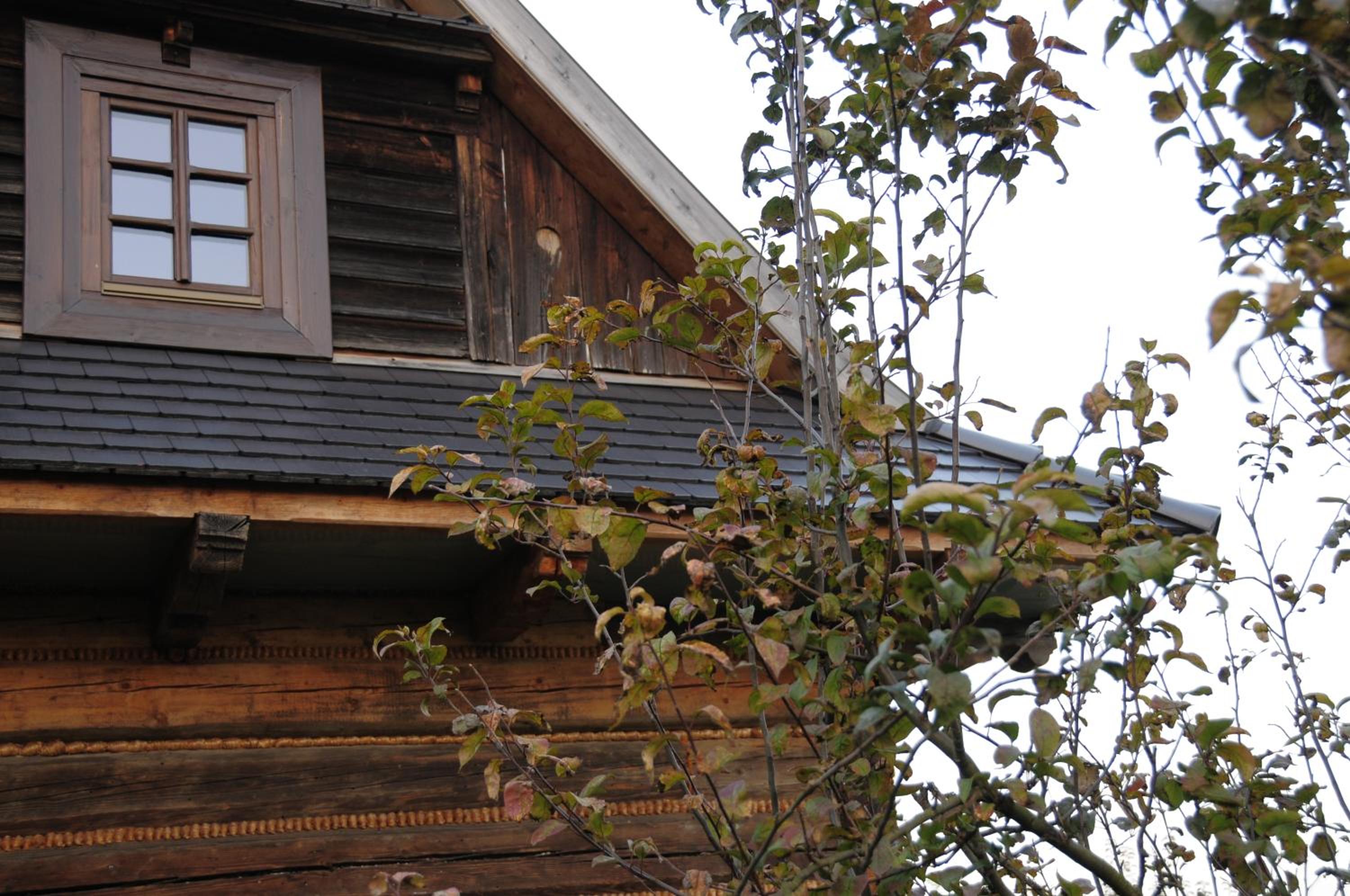 Photo 37