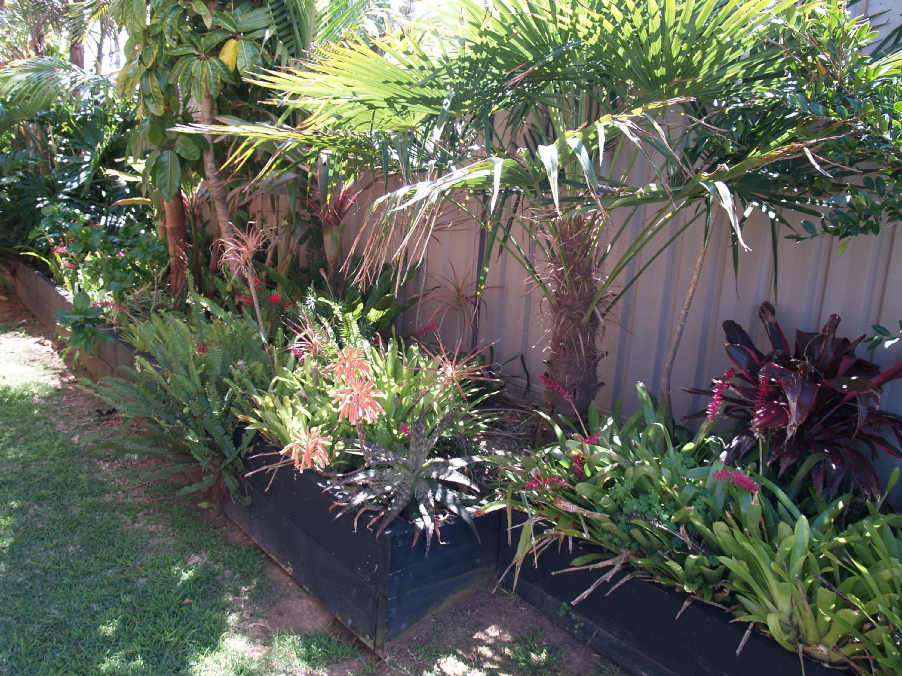 Photo 29