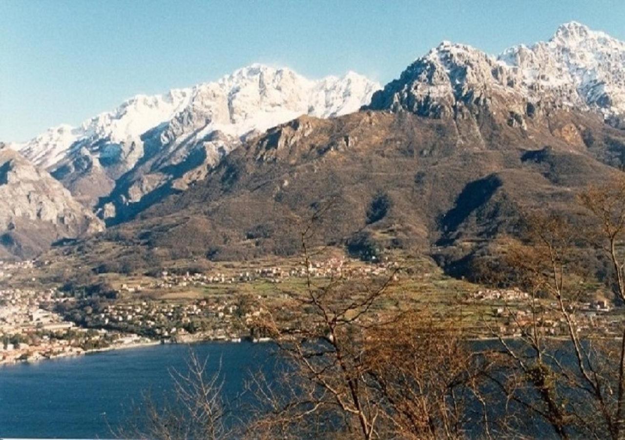 Photo 40