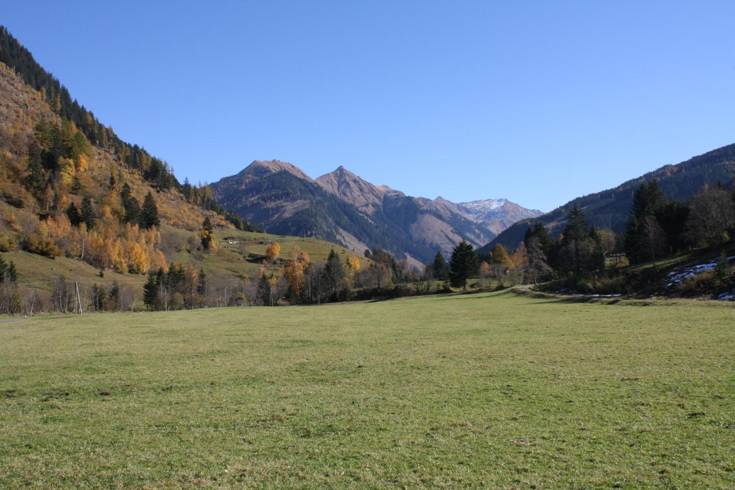 Ferienwohnung Schaupphof
