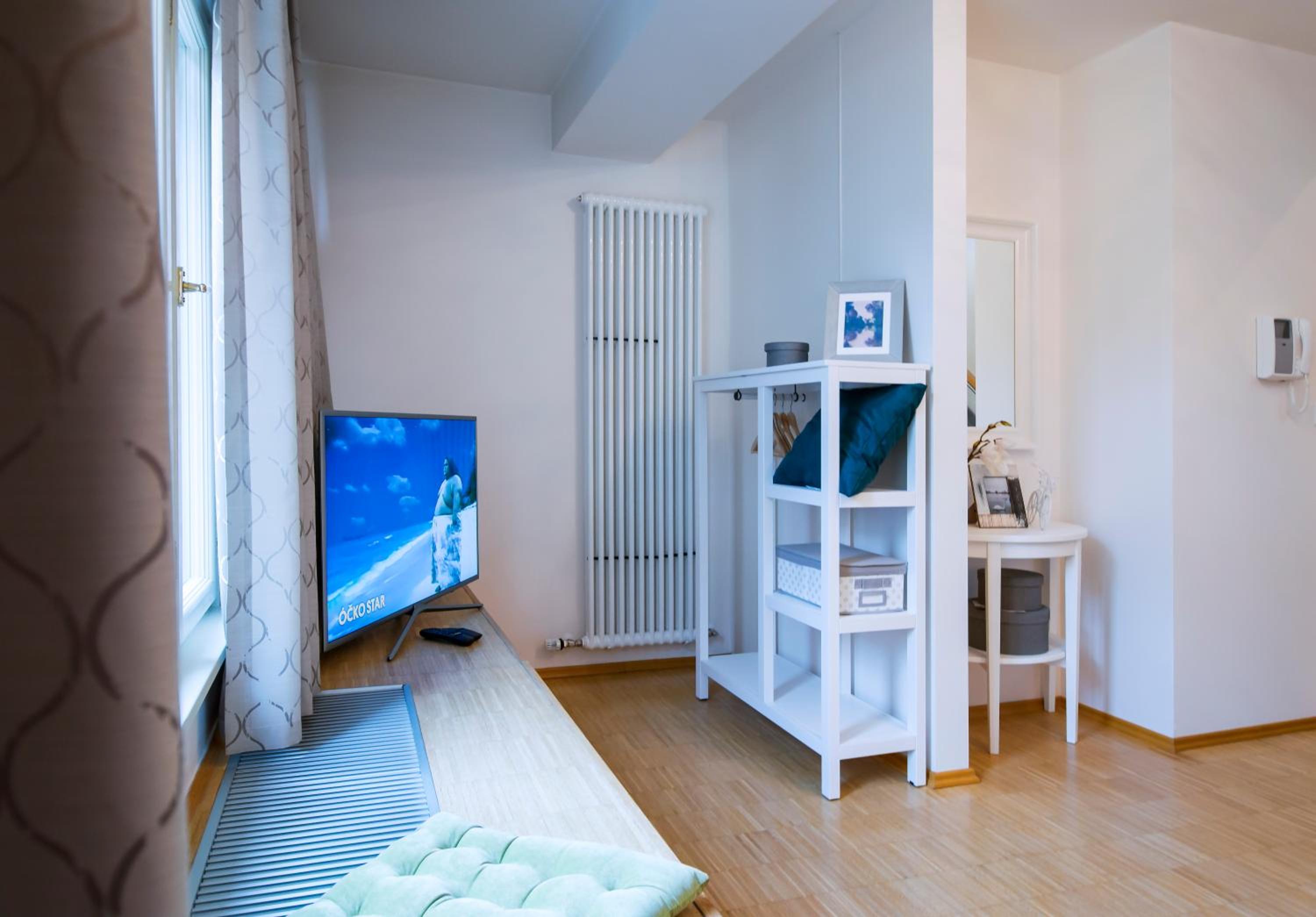 Modern Apartment Charvátova