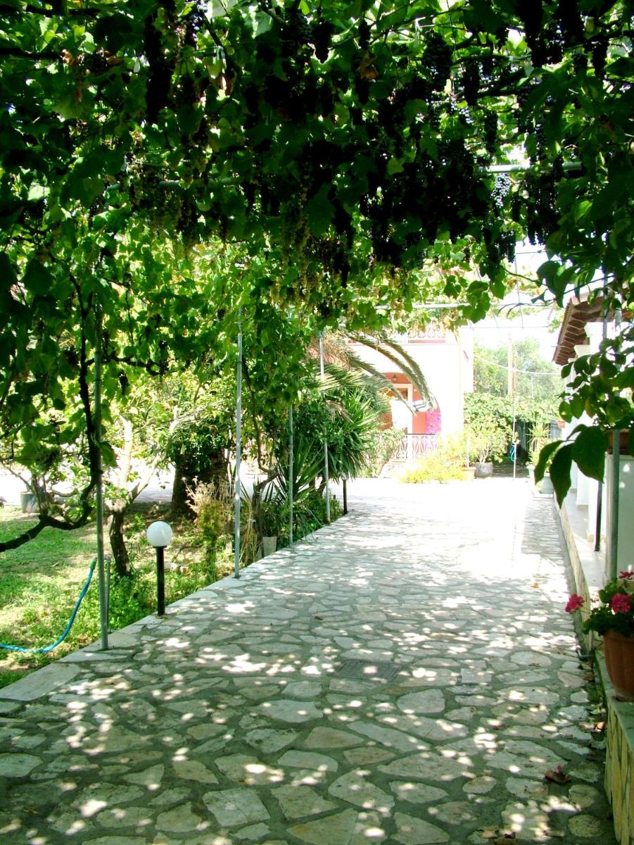 Photo 23