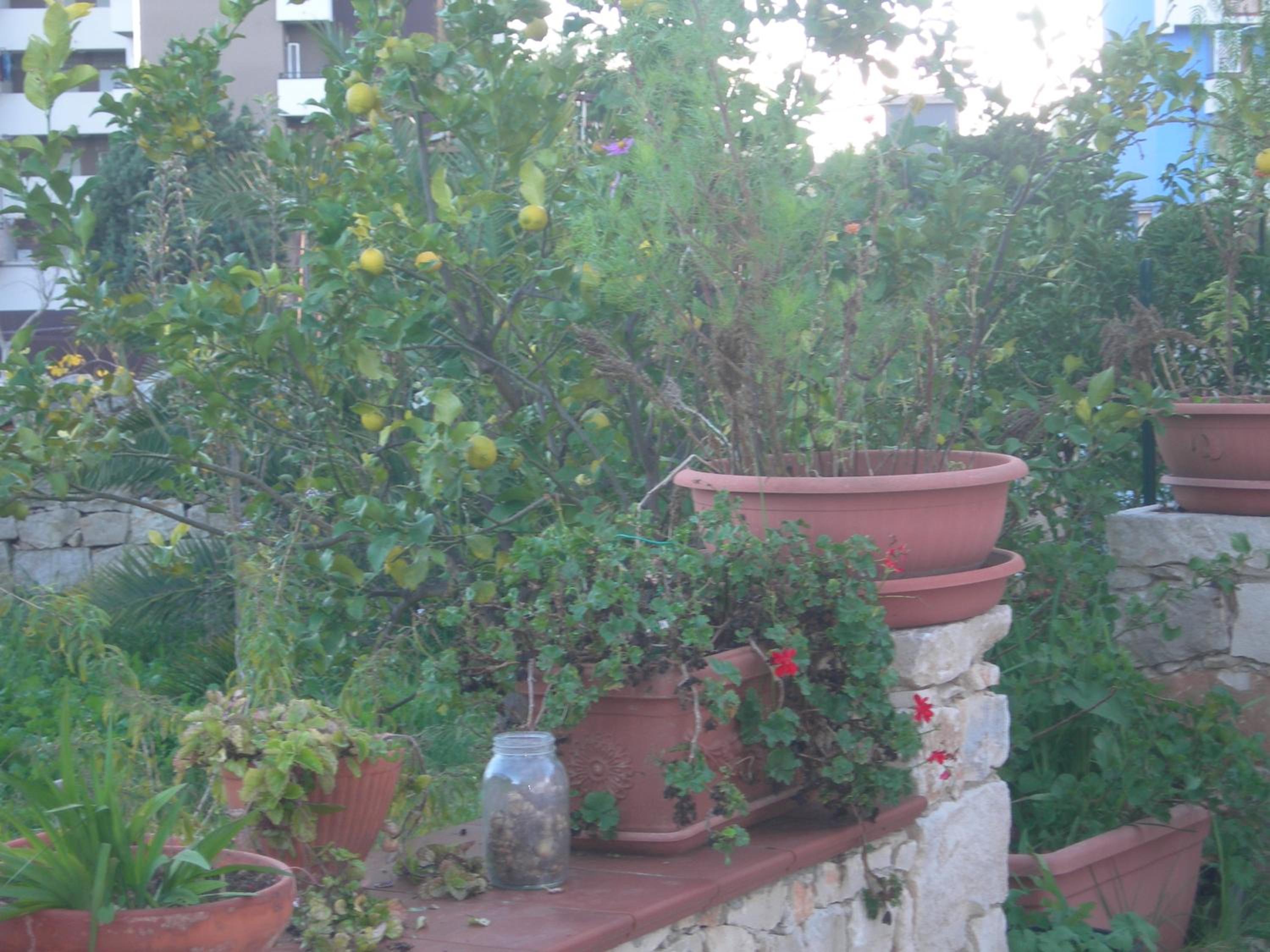 Modica Garden Resort view 5