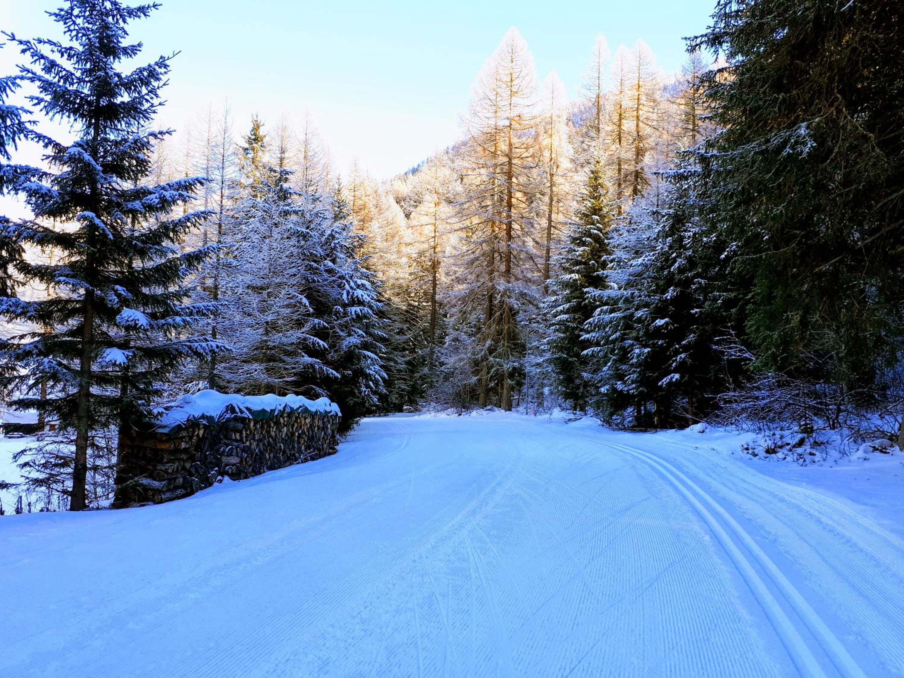 Alpensonne