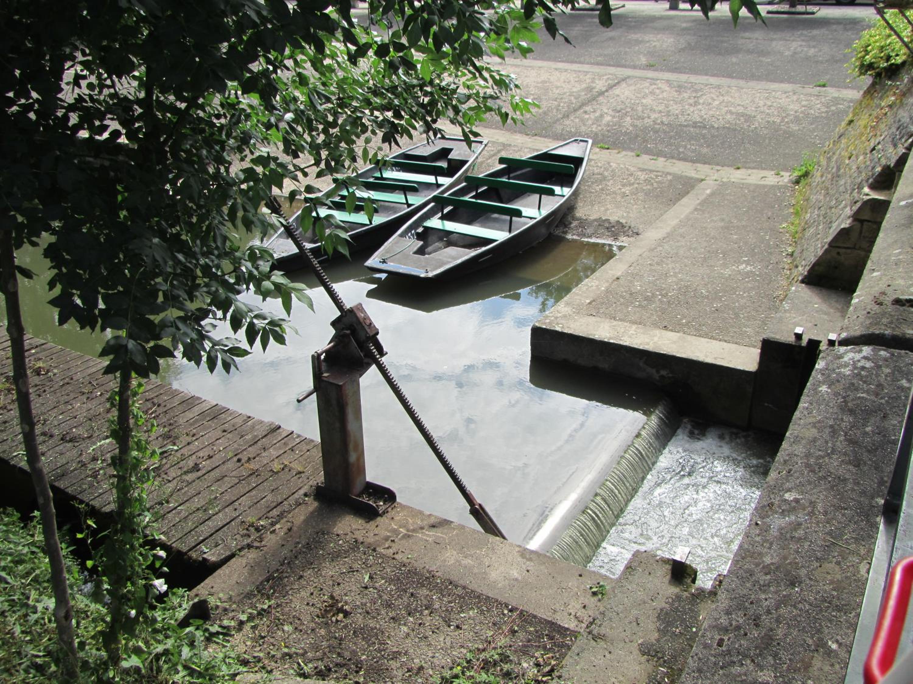 Photo 42