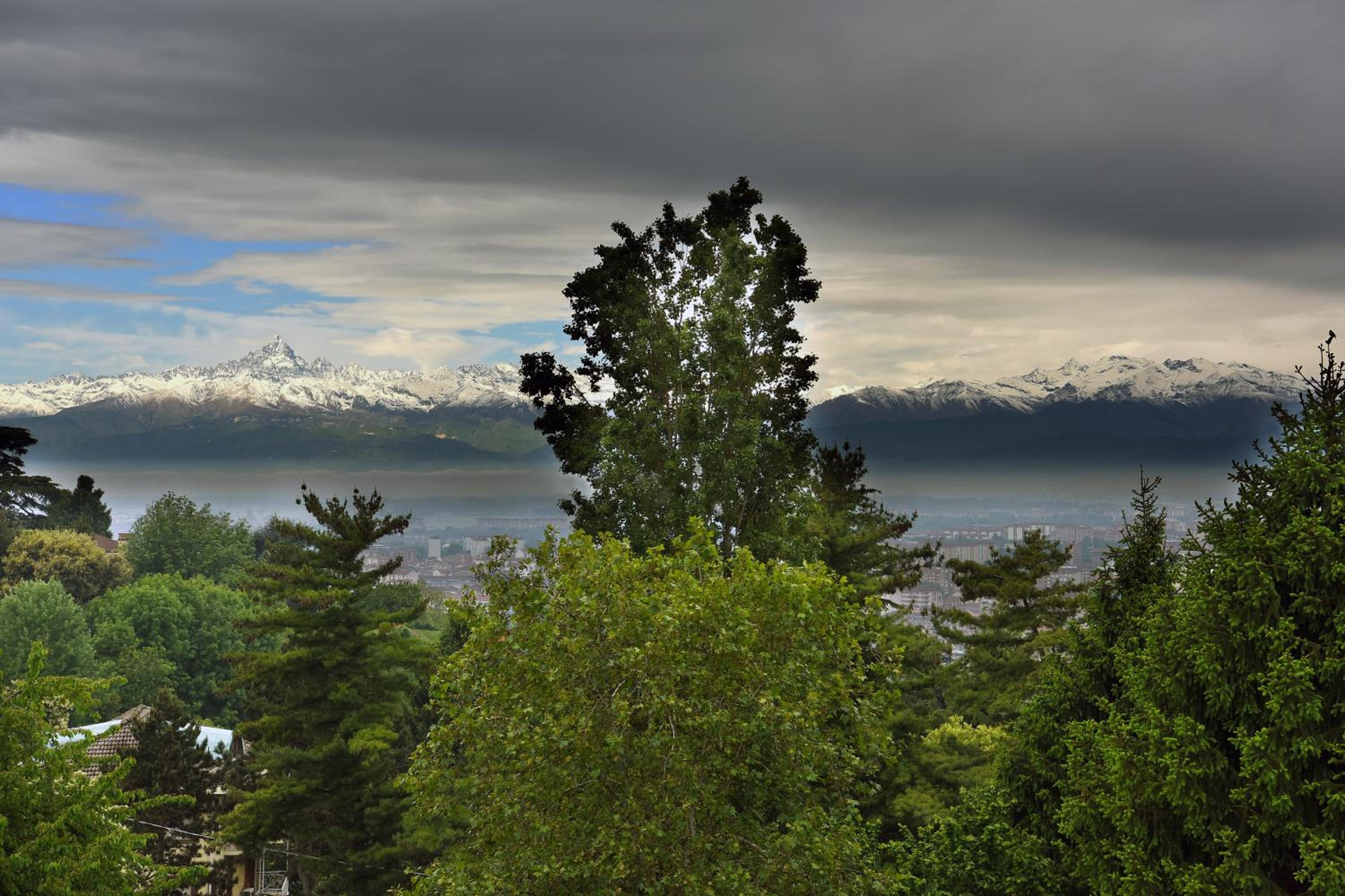 Oasi Di Cavoretto view 2