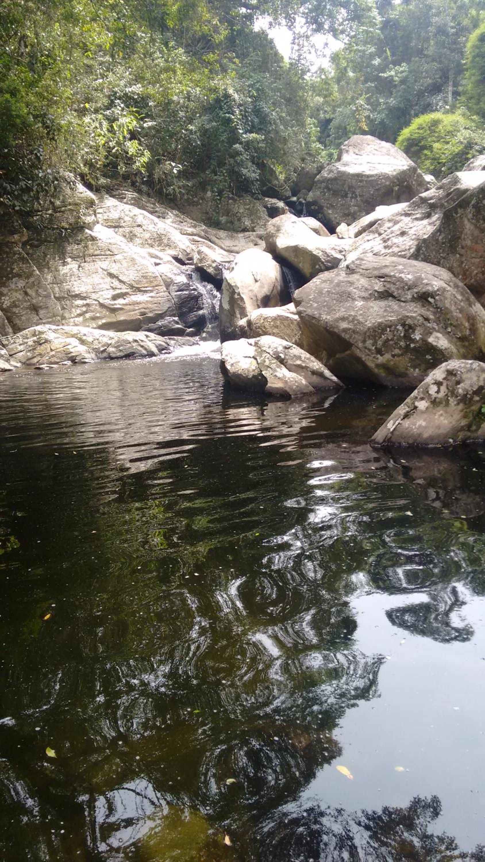 Condado Aldeia dos Reis
