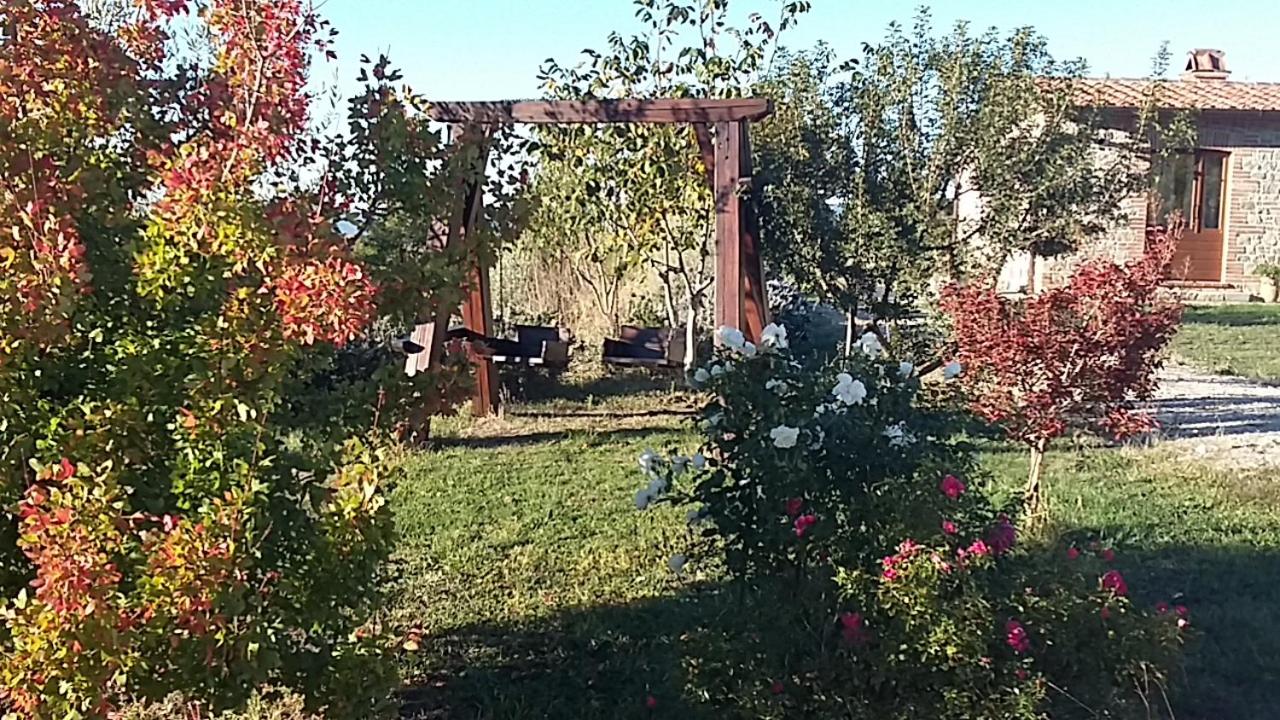 Photo 29