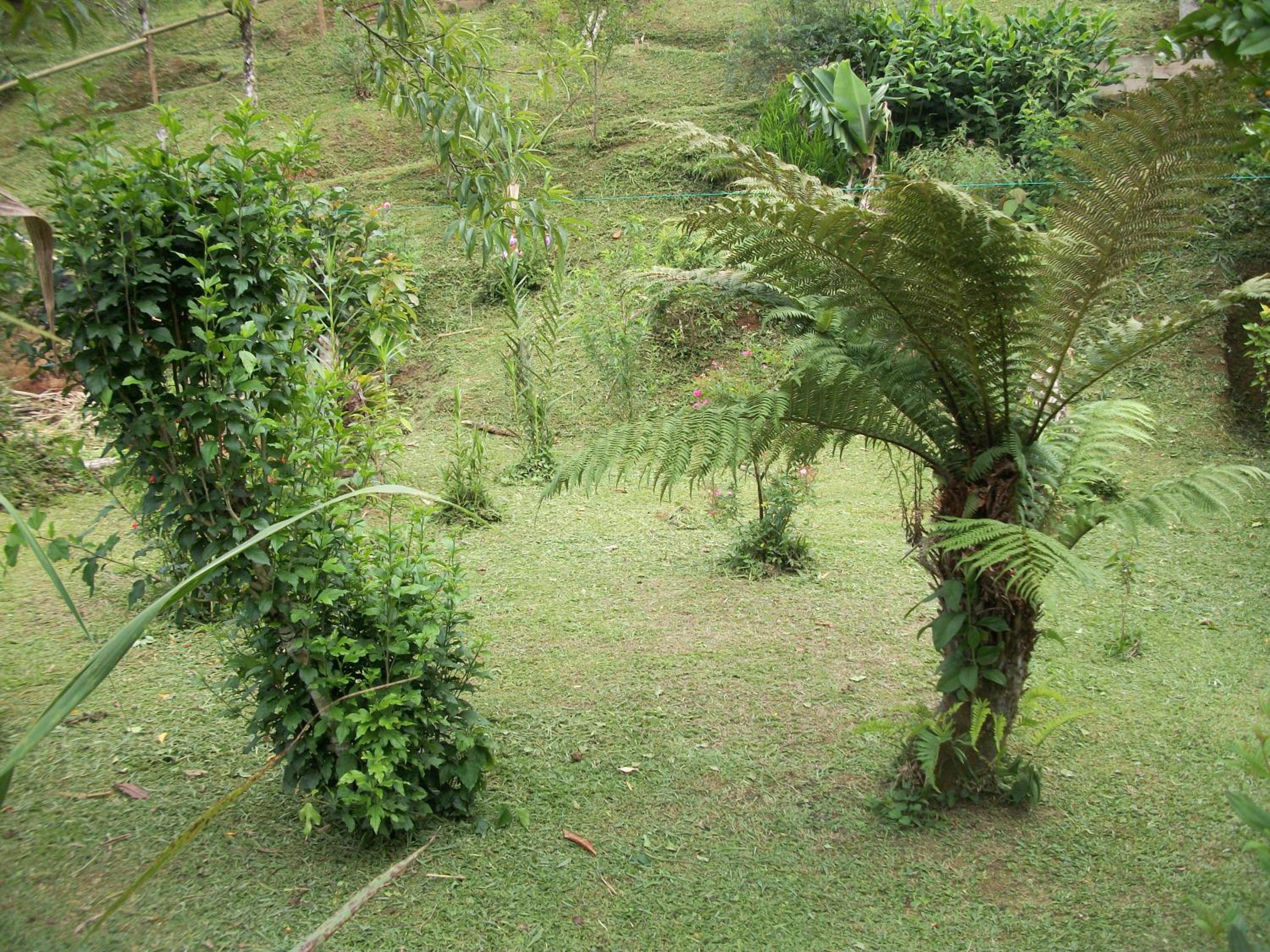 Chalés Vale Verde