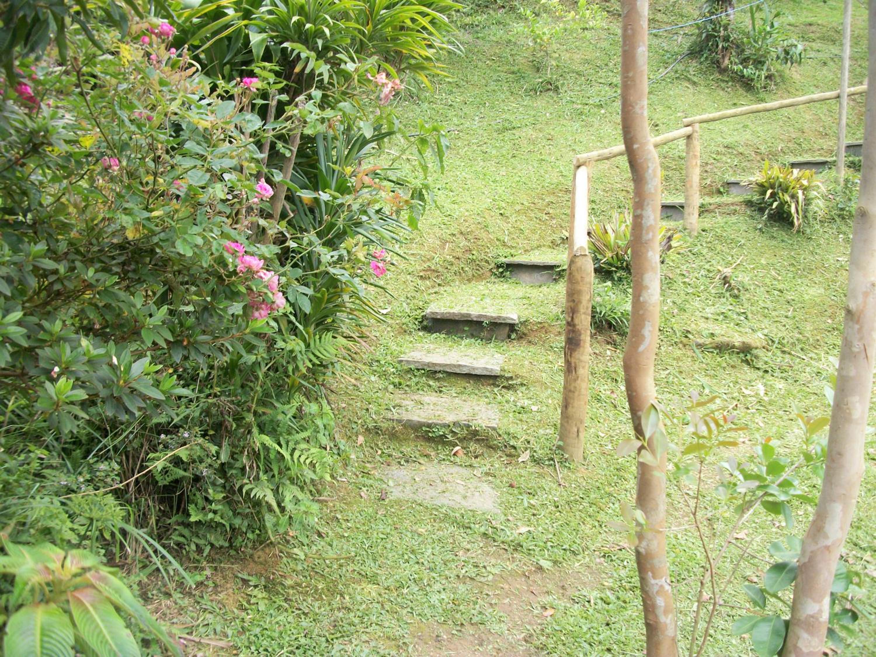 Chalés Vale Verde