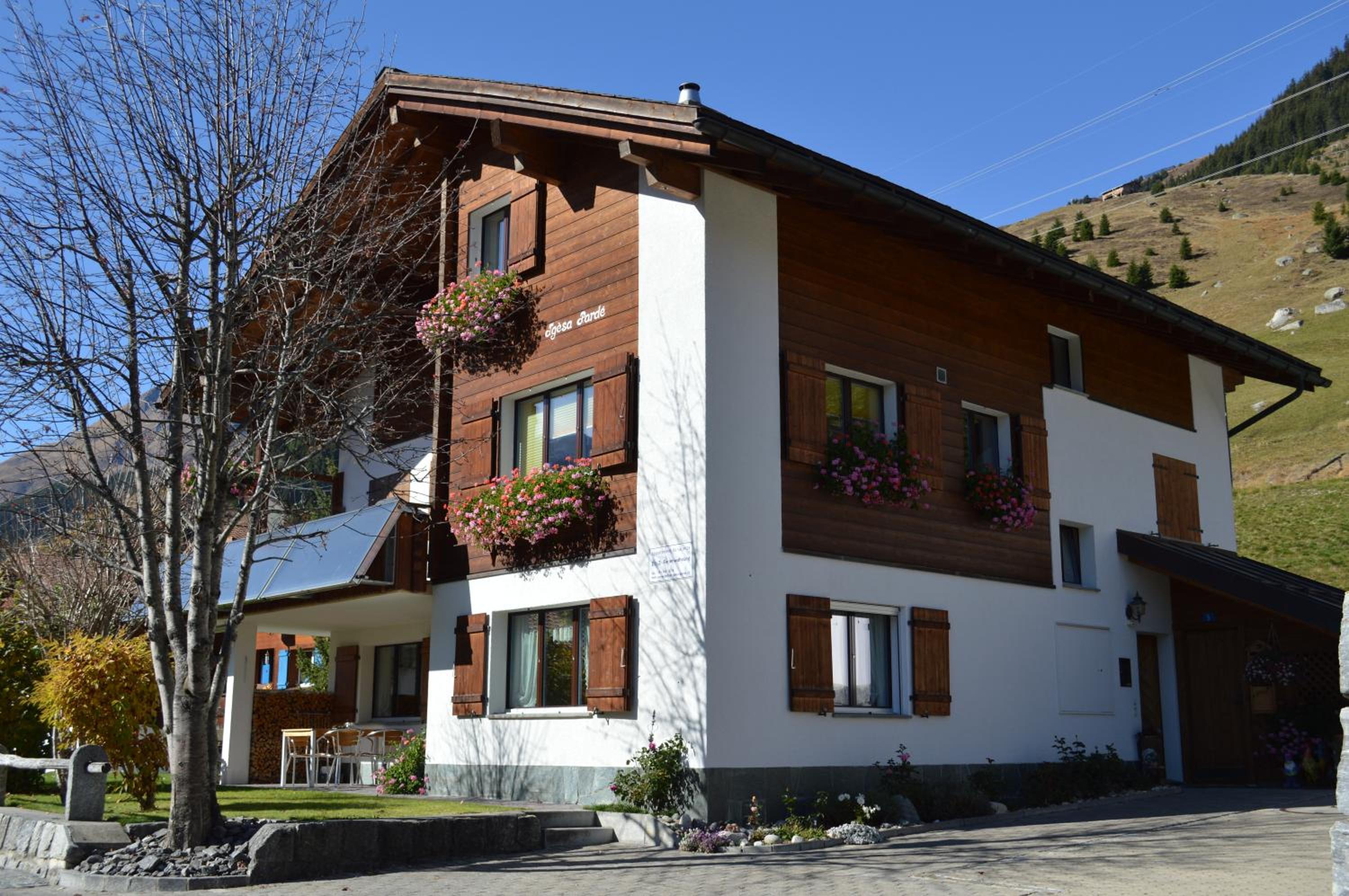 Photo 6