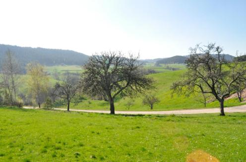 Fehrenbacherhof Naturgästehaus