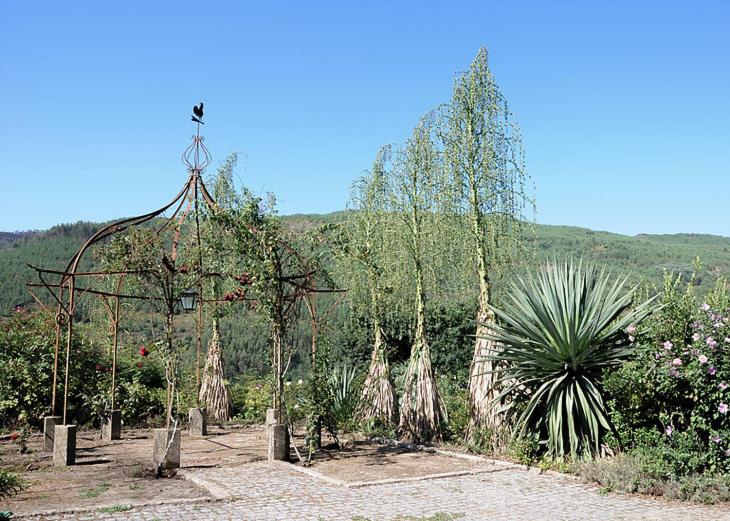 Quinta de Albergaria view 5