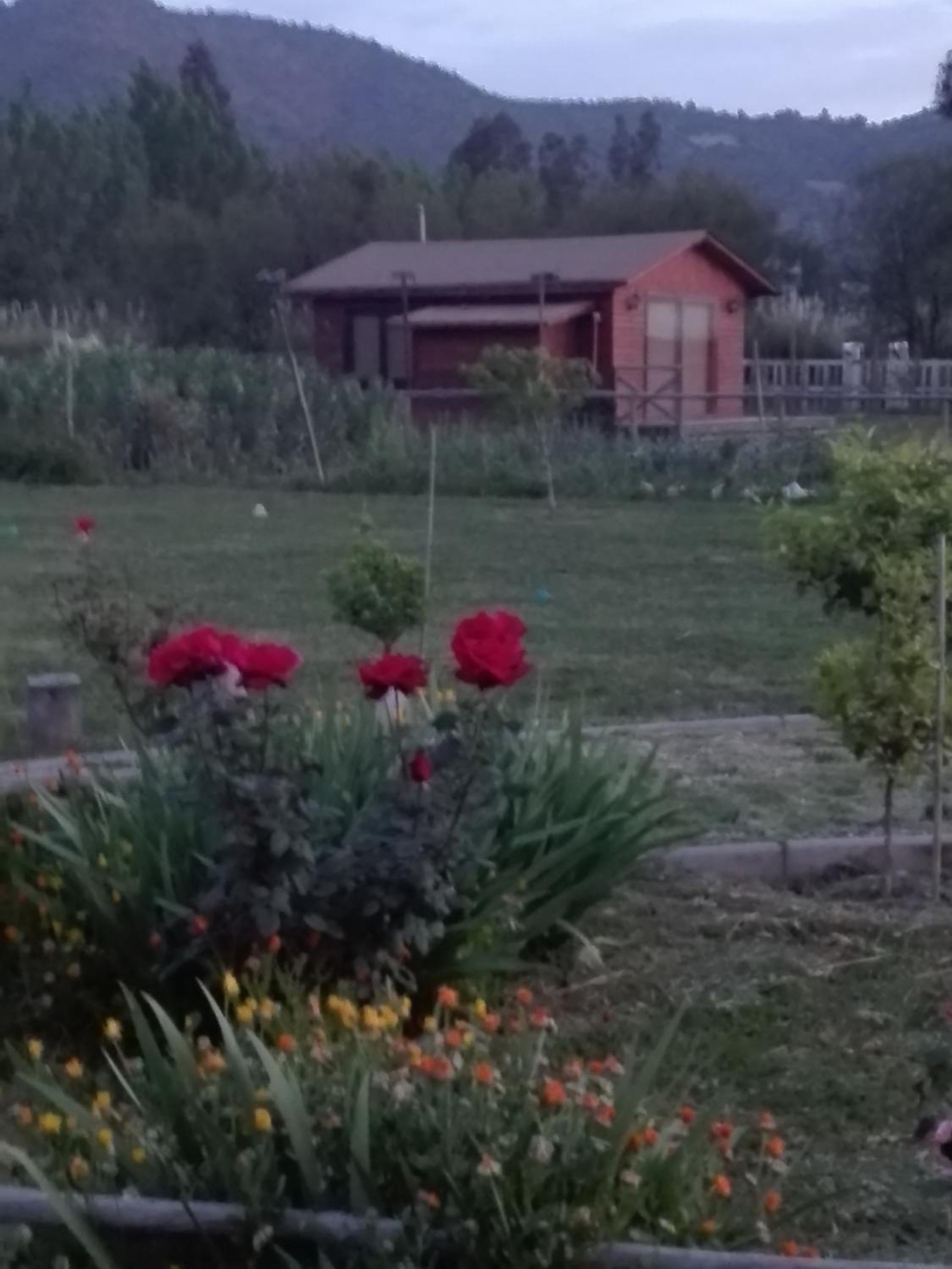 Cabaña Amor