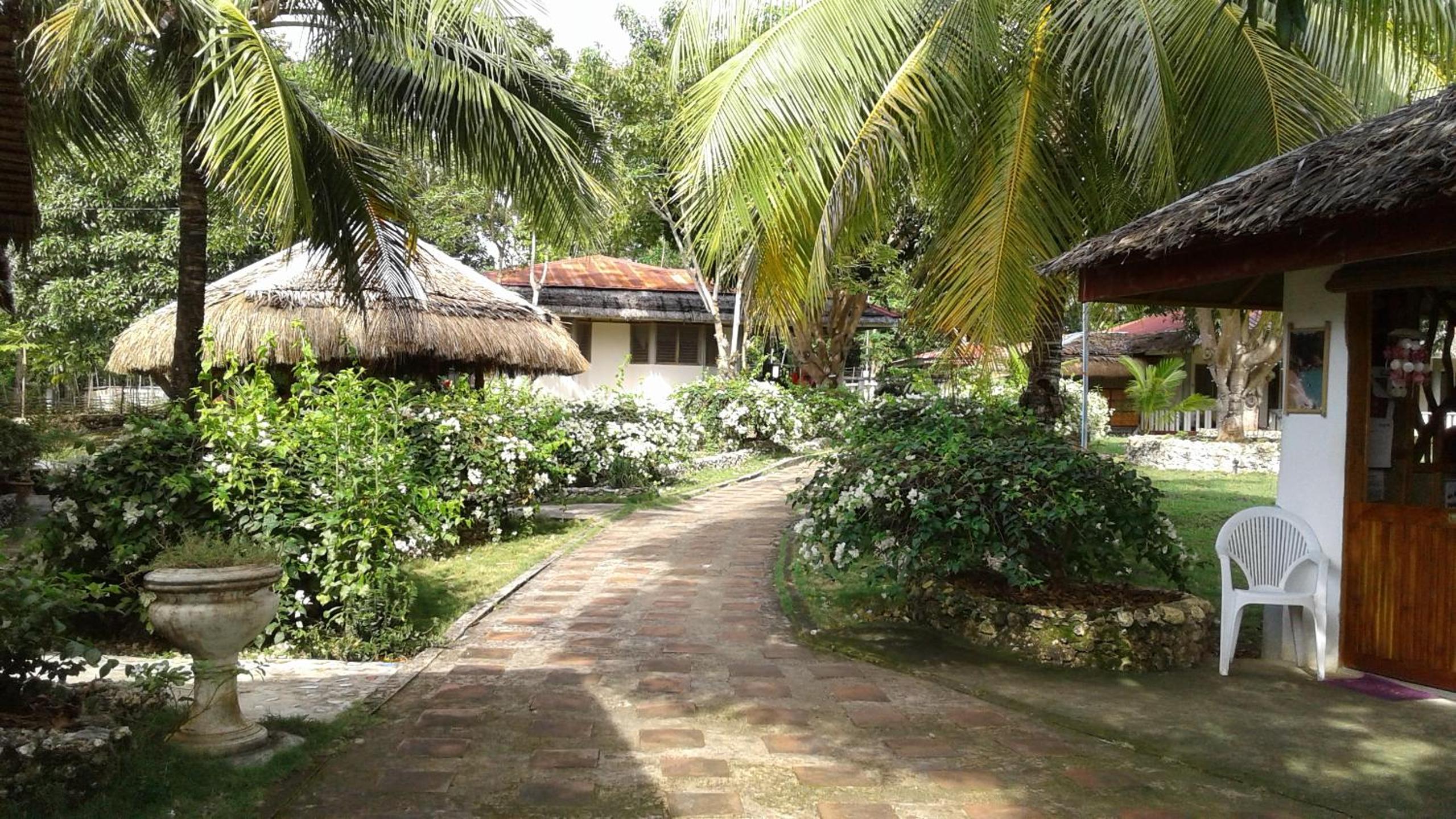 Photo 45