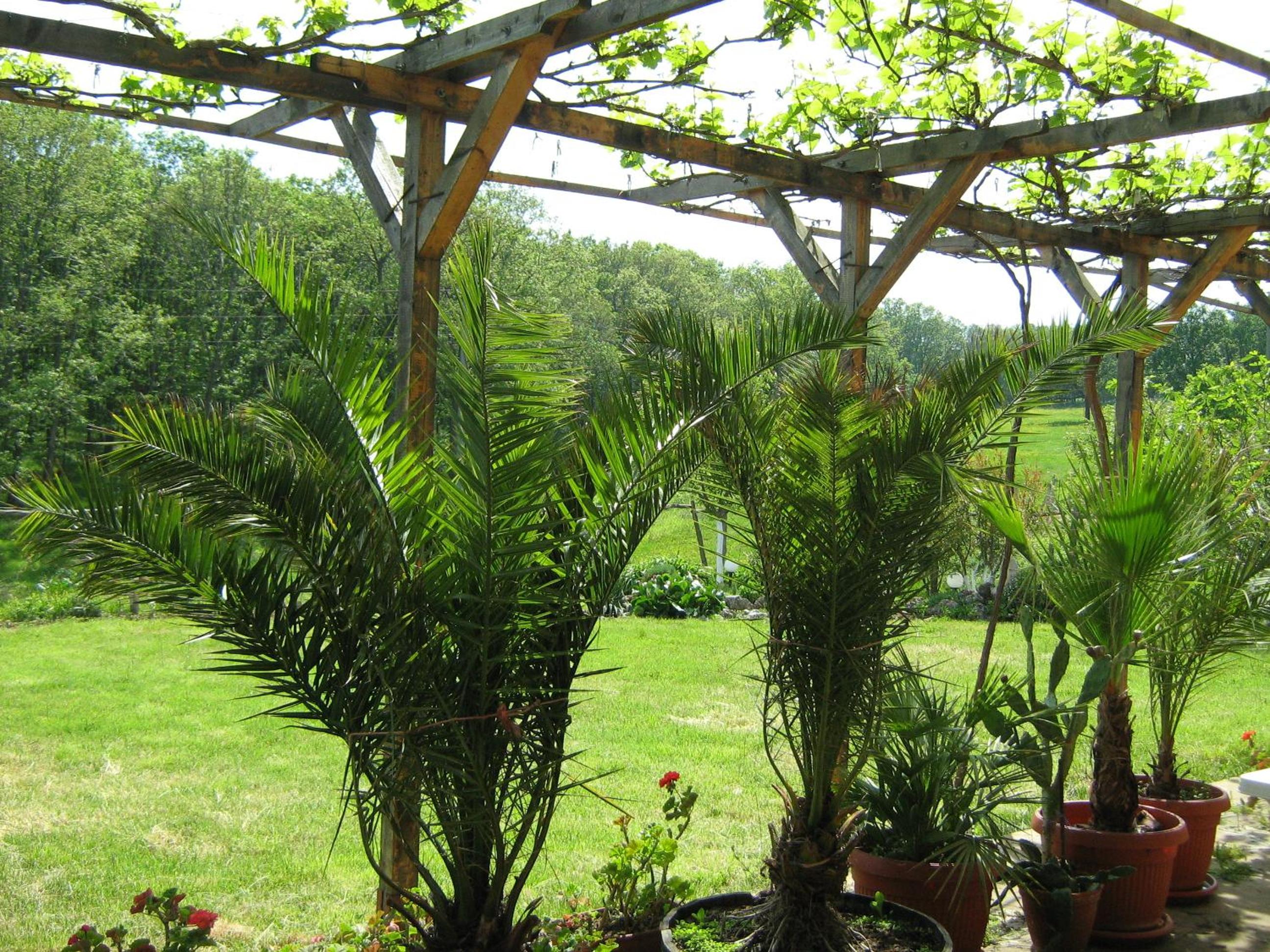 Villa Victoria