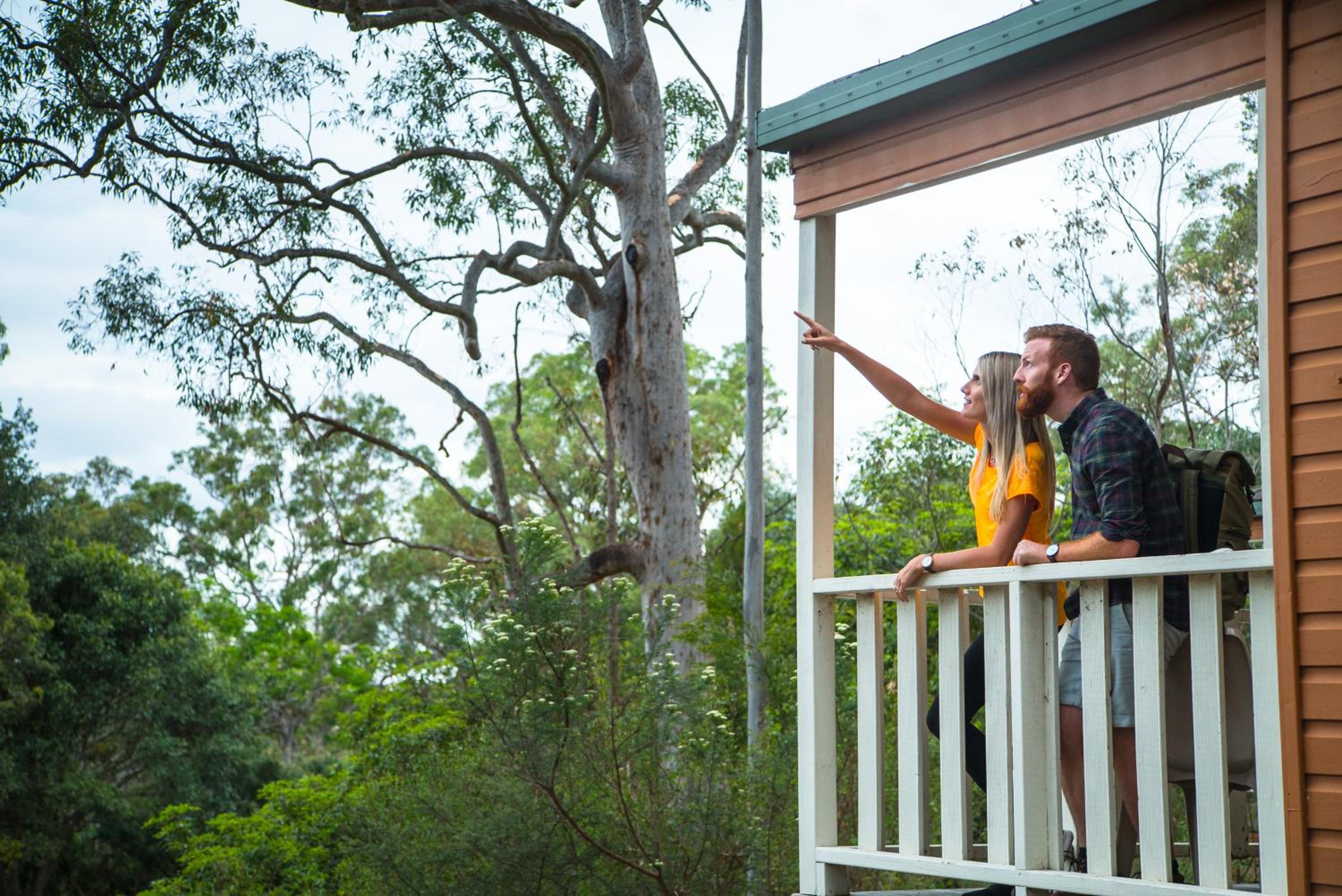 Discovery Parks - Lane Cove