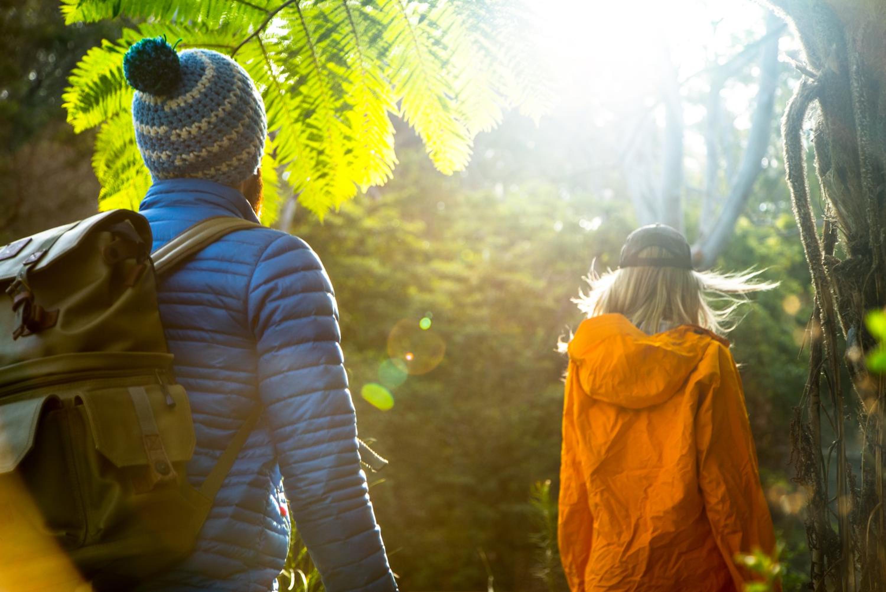 Discovery Parks - Lane Cove