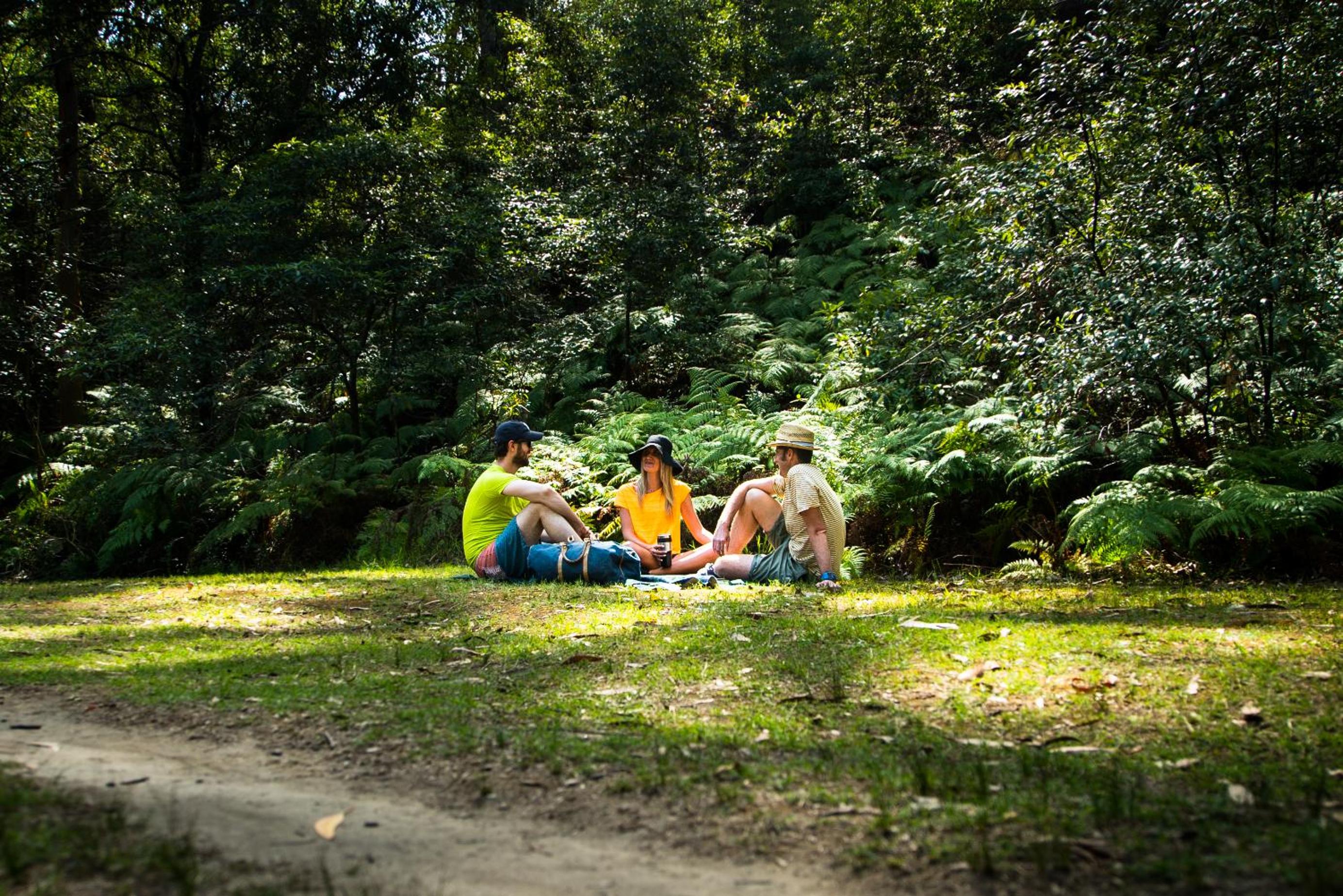 Discovery Parks - Lane Cove