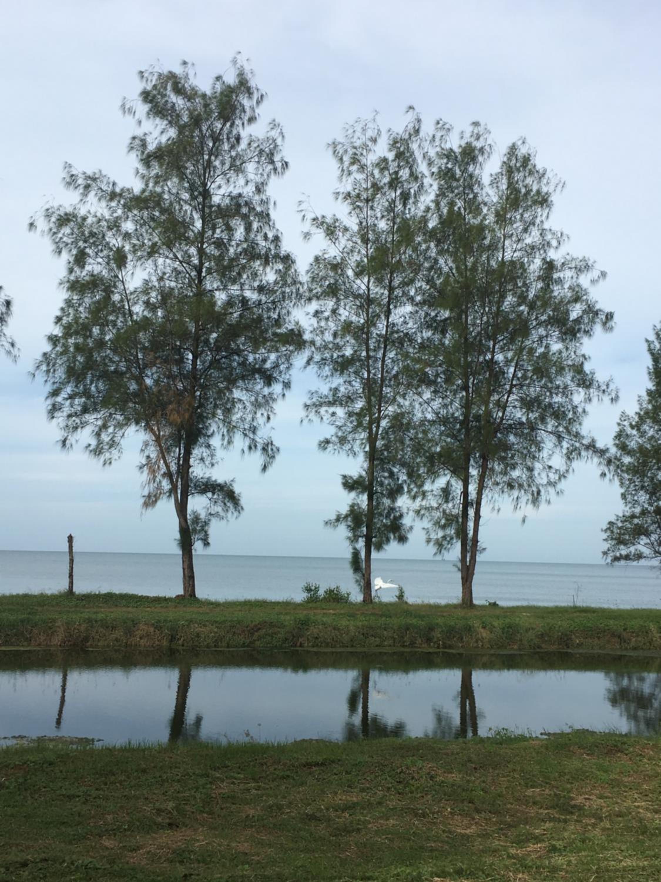 Sleep Soundly By The Sea