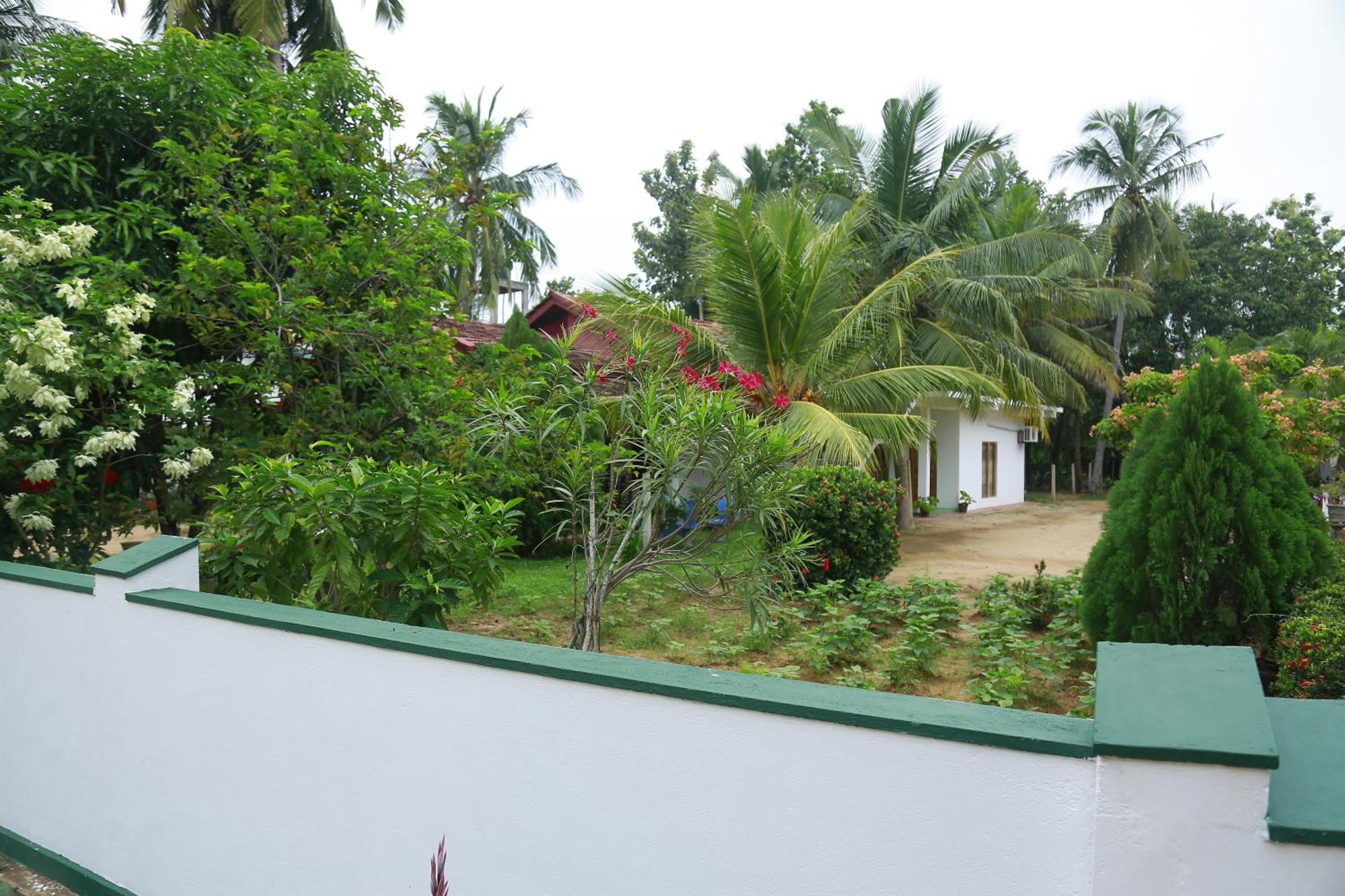 Photo 40