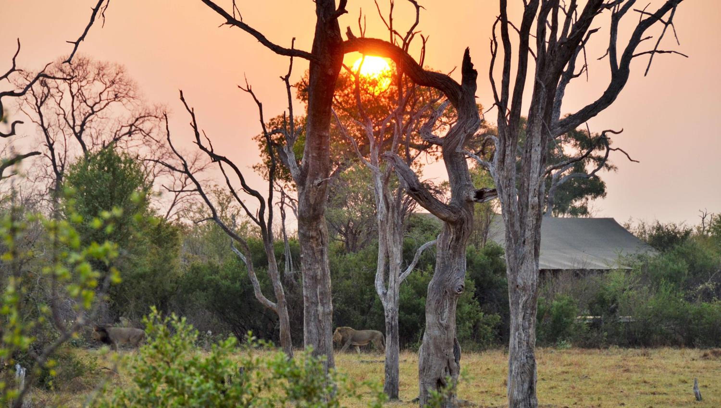 Nogatsaa Pans Chobe Lodge