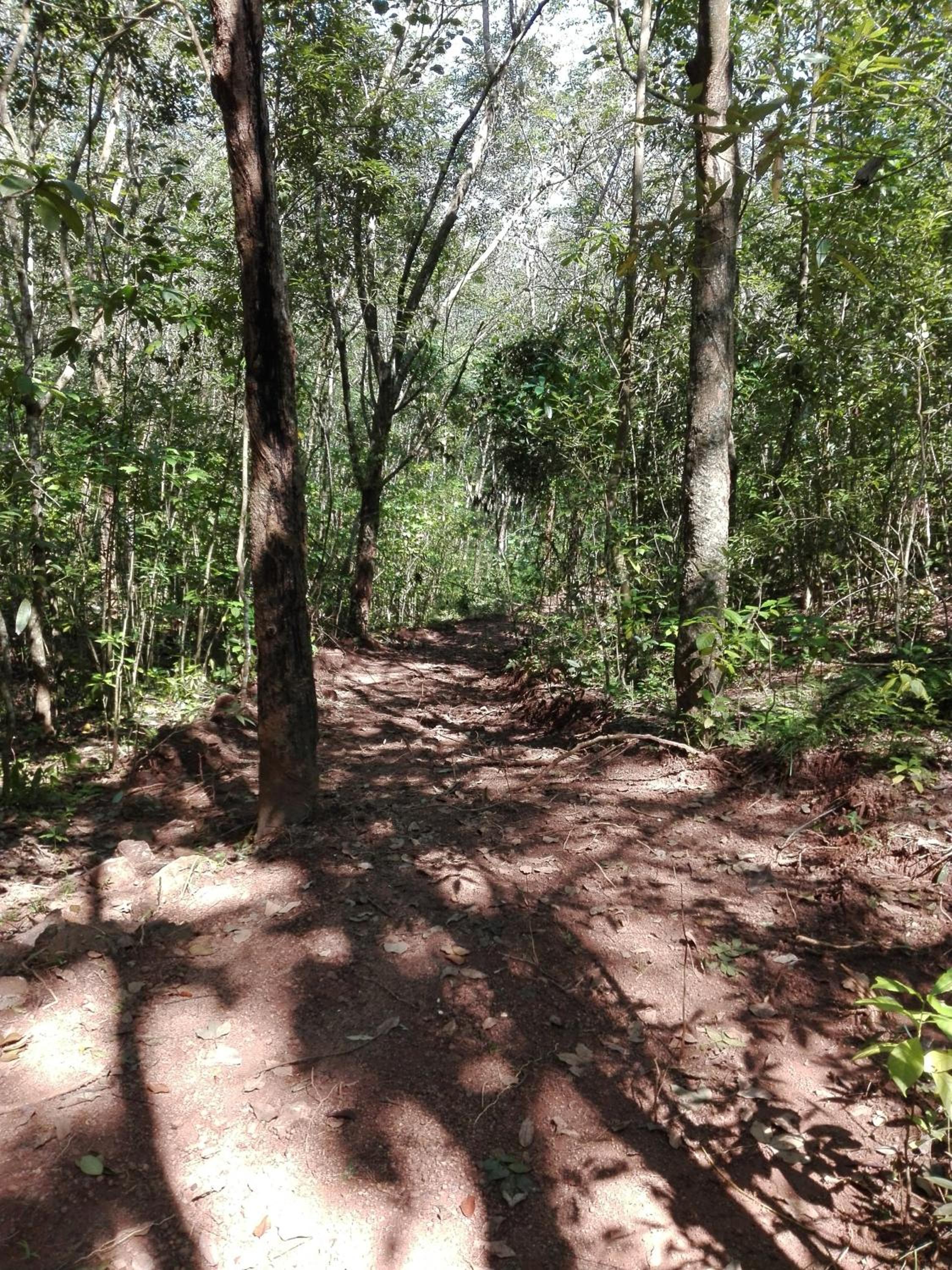 Photo 23
