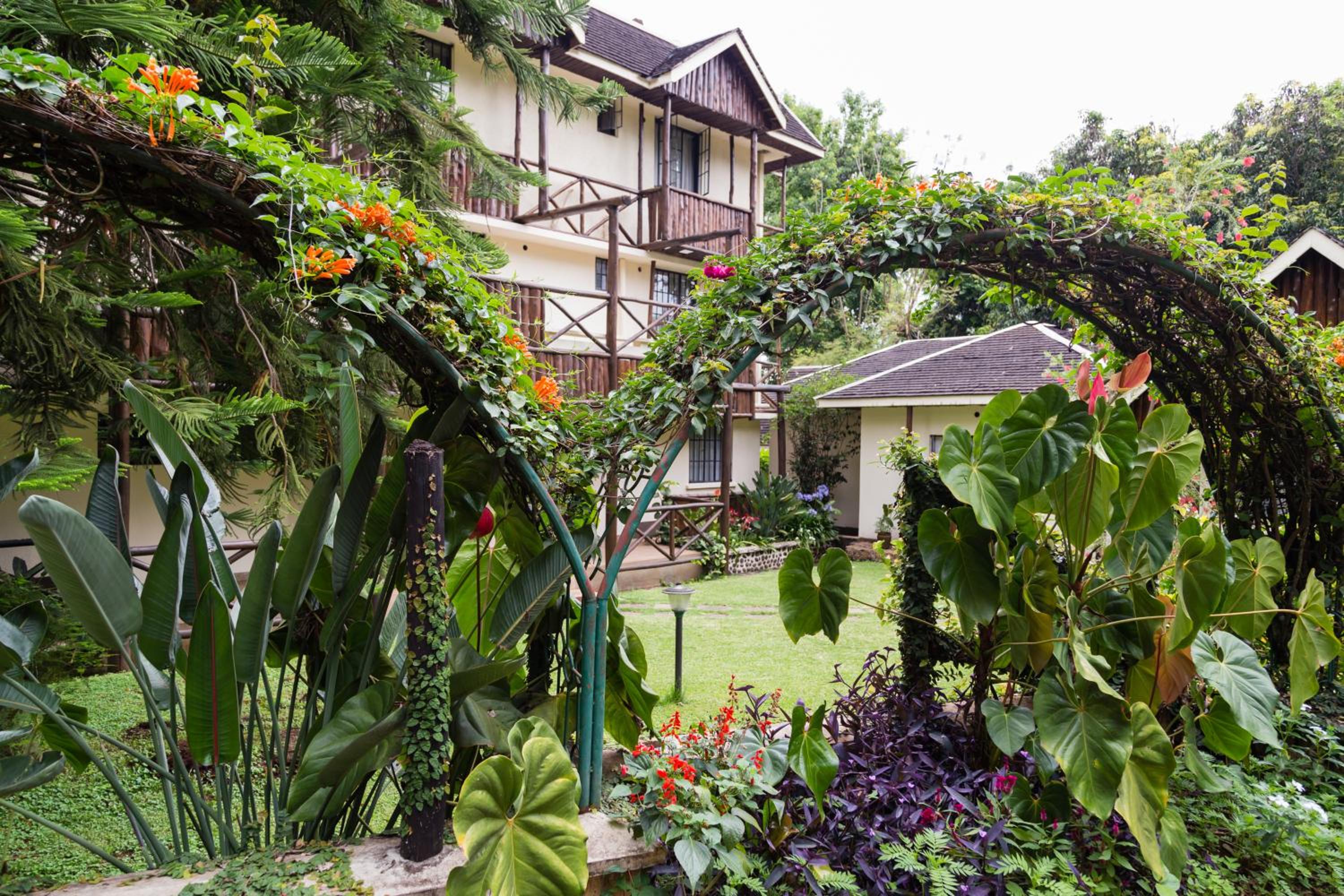Aishi Machame