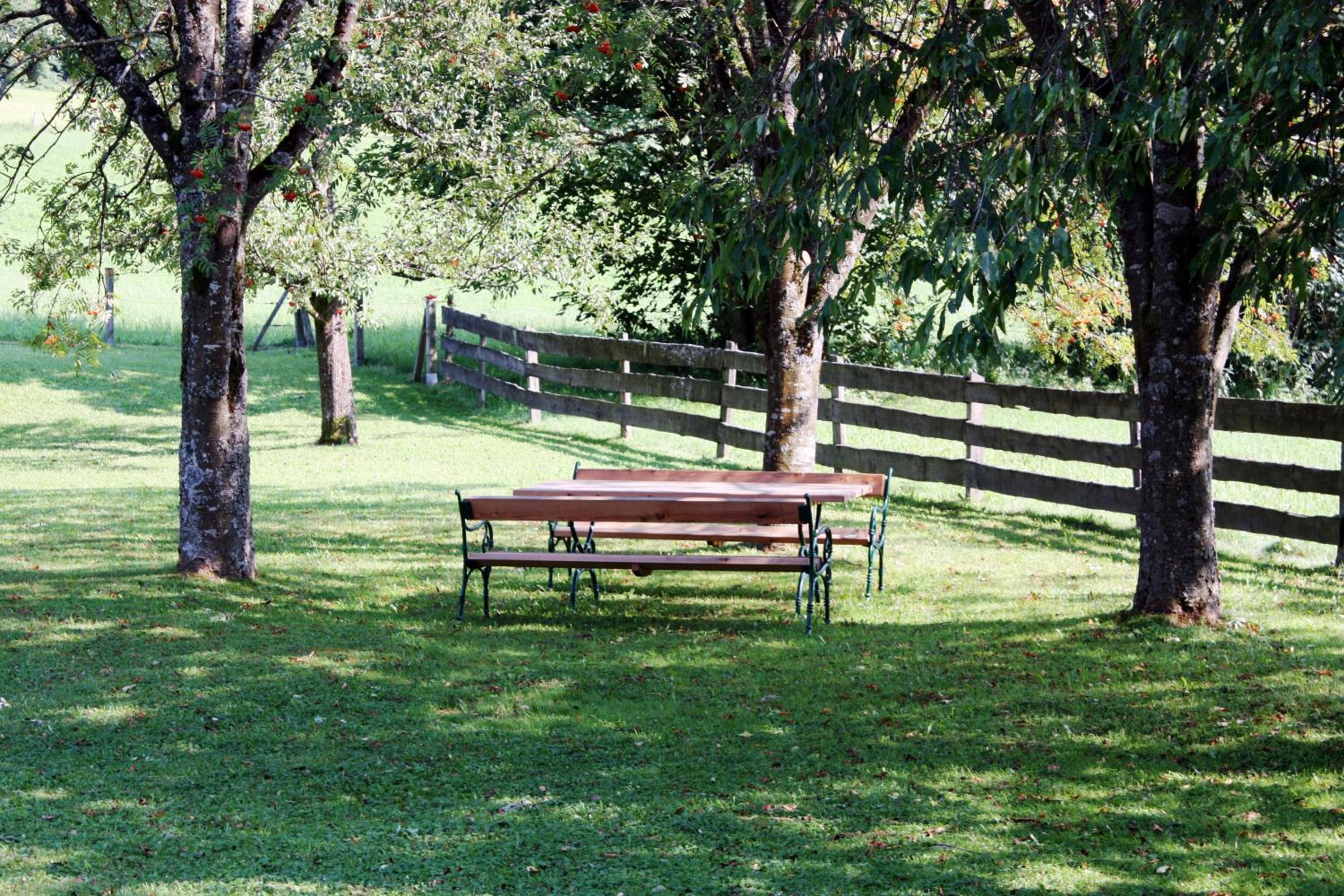 Photo 45