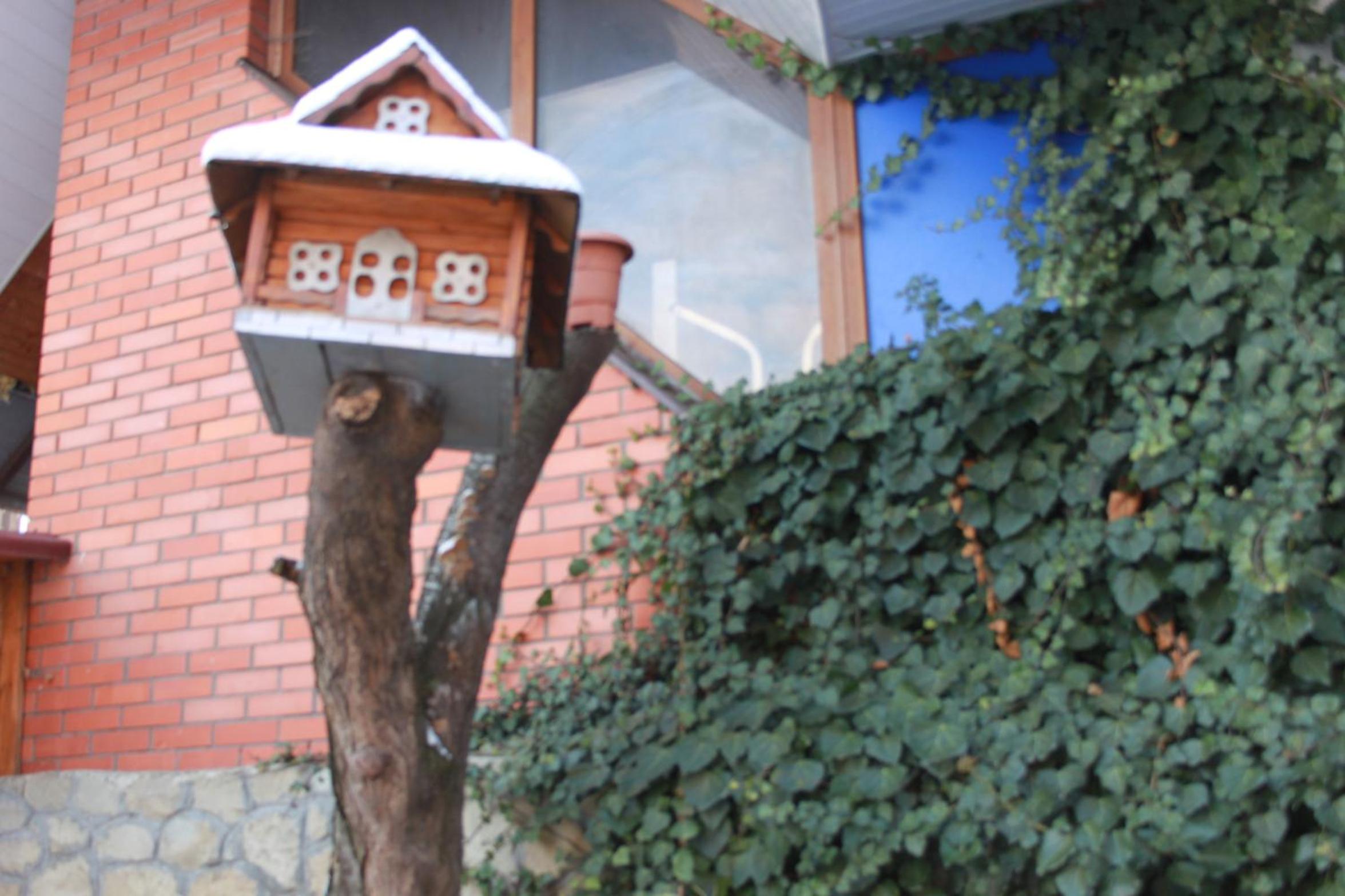 Photo 27
