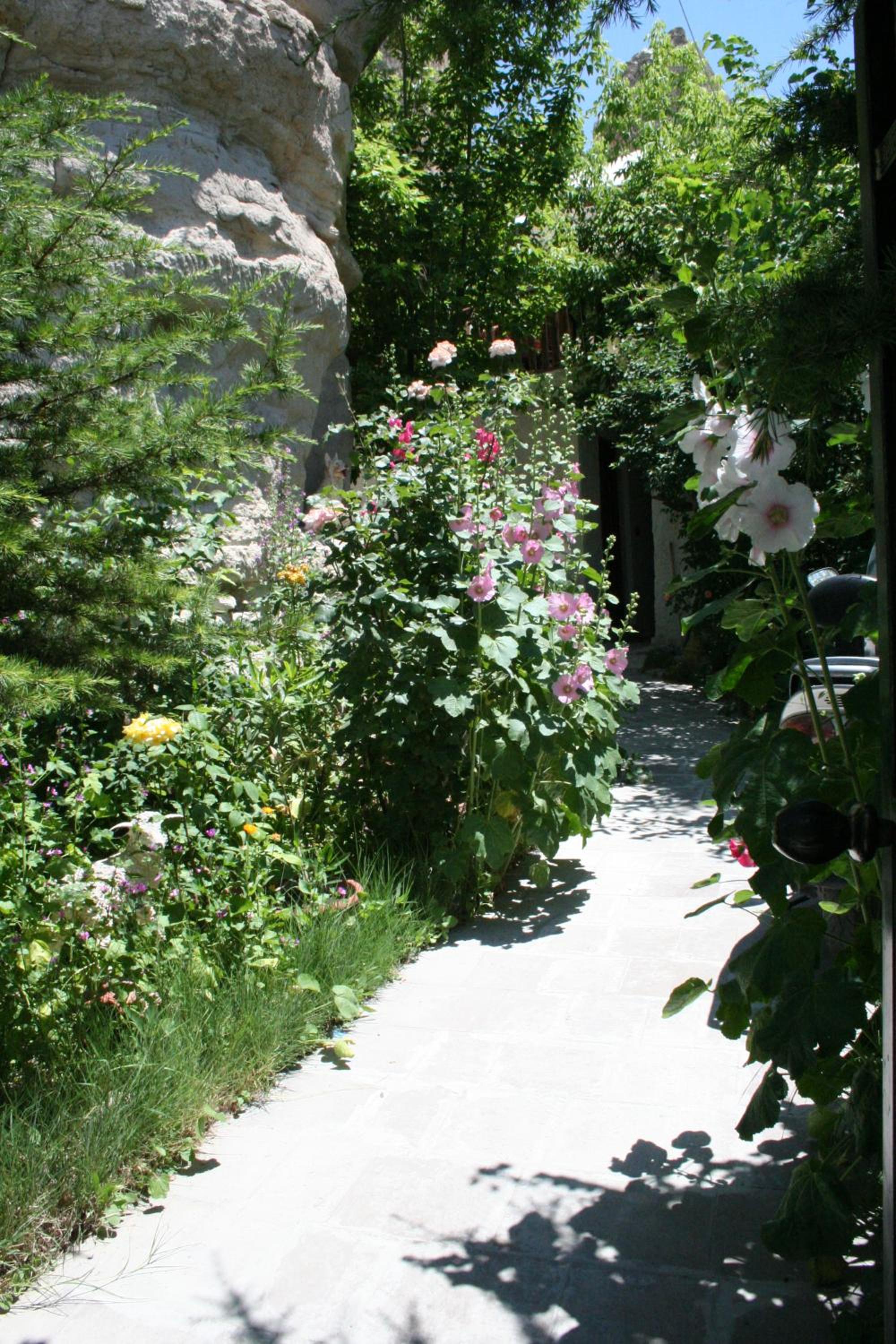Photo 7