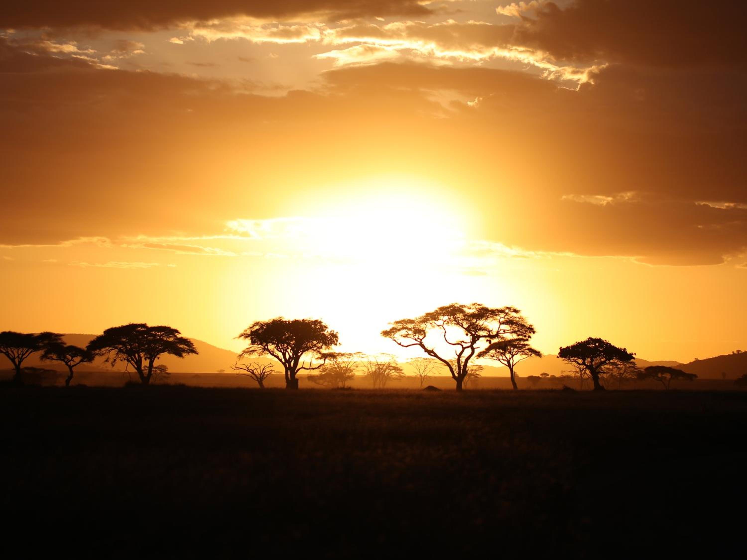 One Nature Nyaruswiga Serengeti