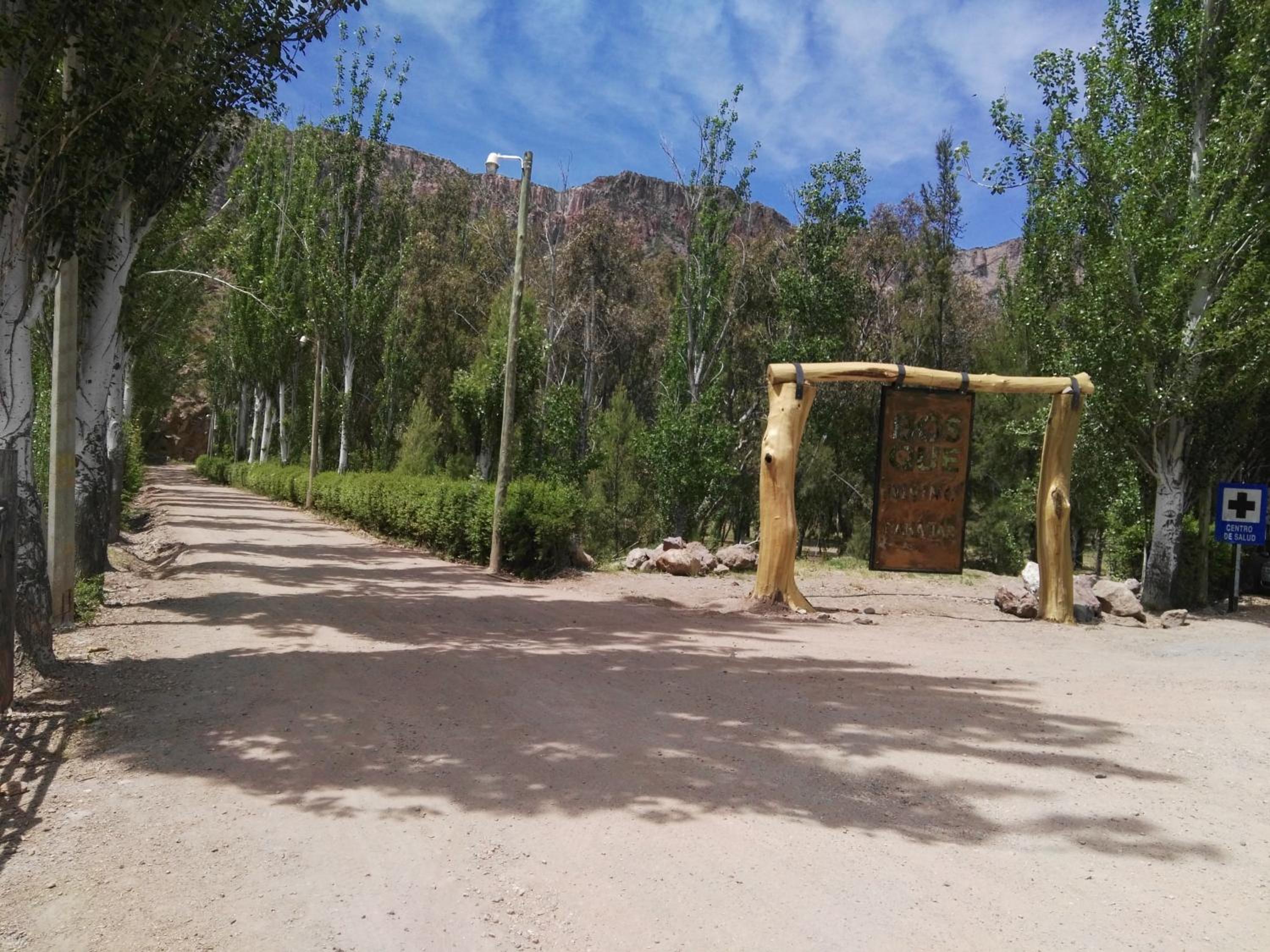 Bosque Divino Cabañas & Suites