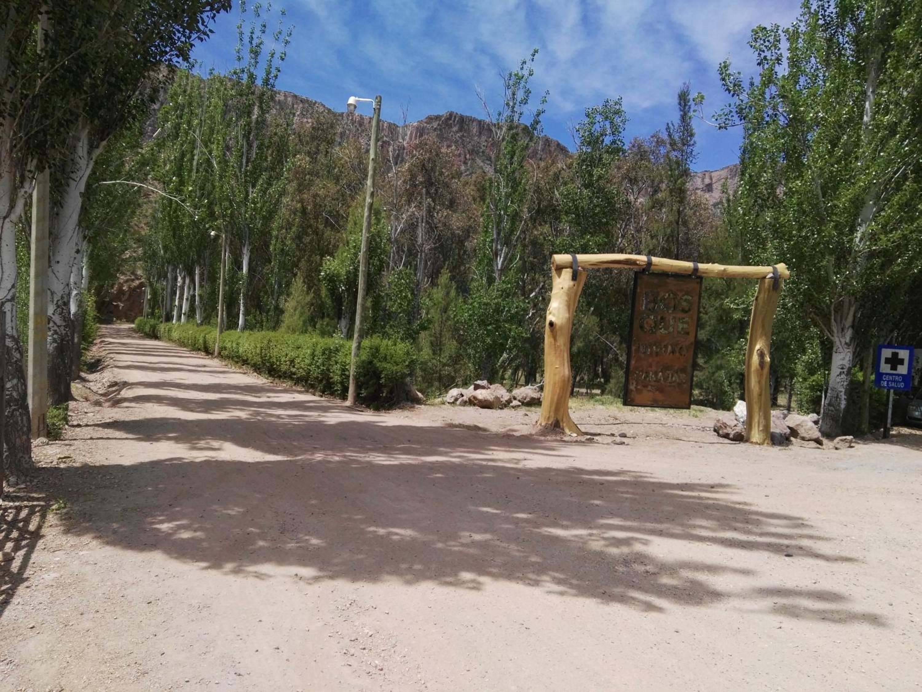 Bosque Divino Cabañas & Suites