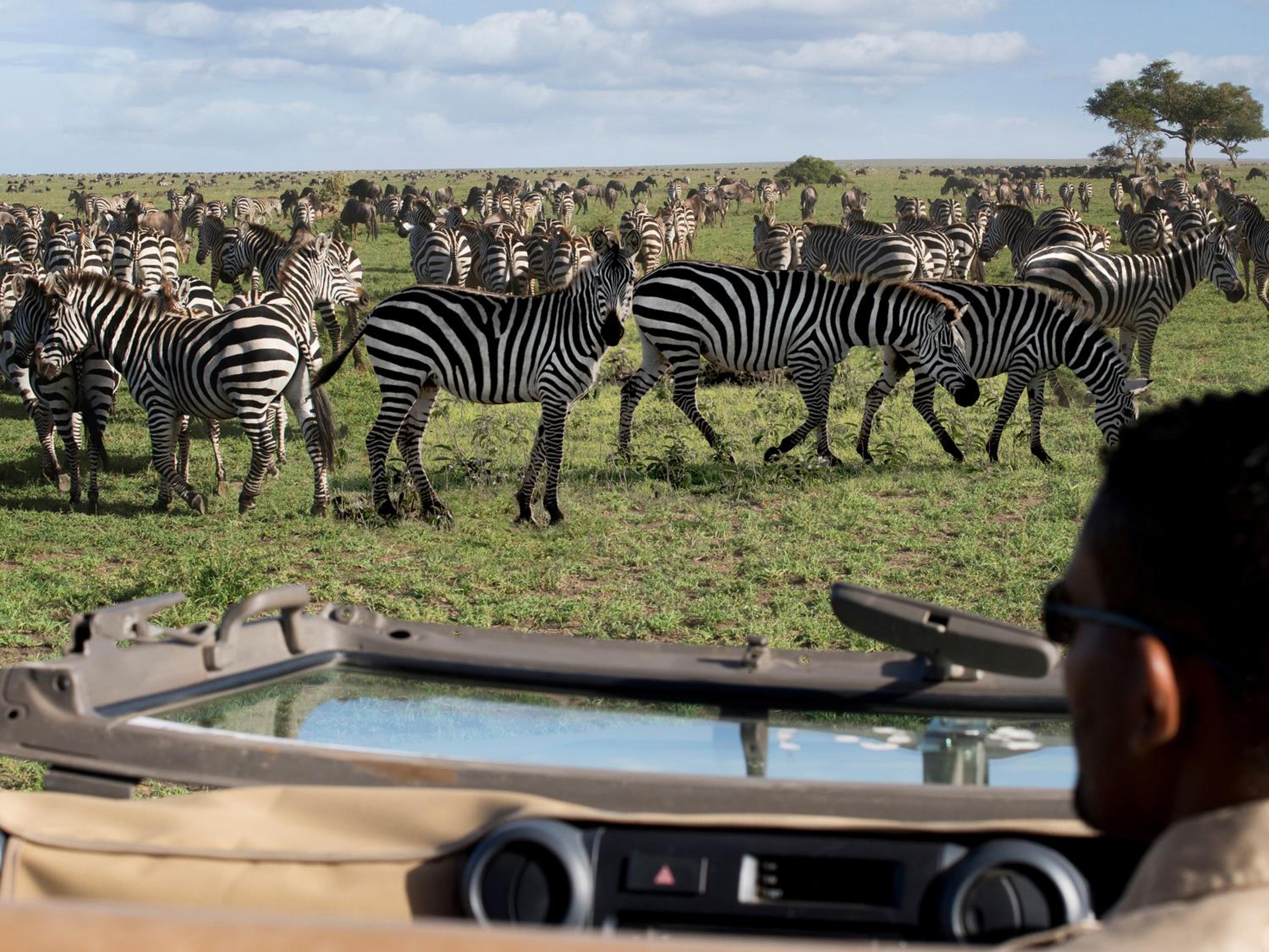 One Nature Nyaruswiga Serengeti