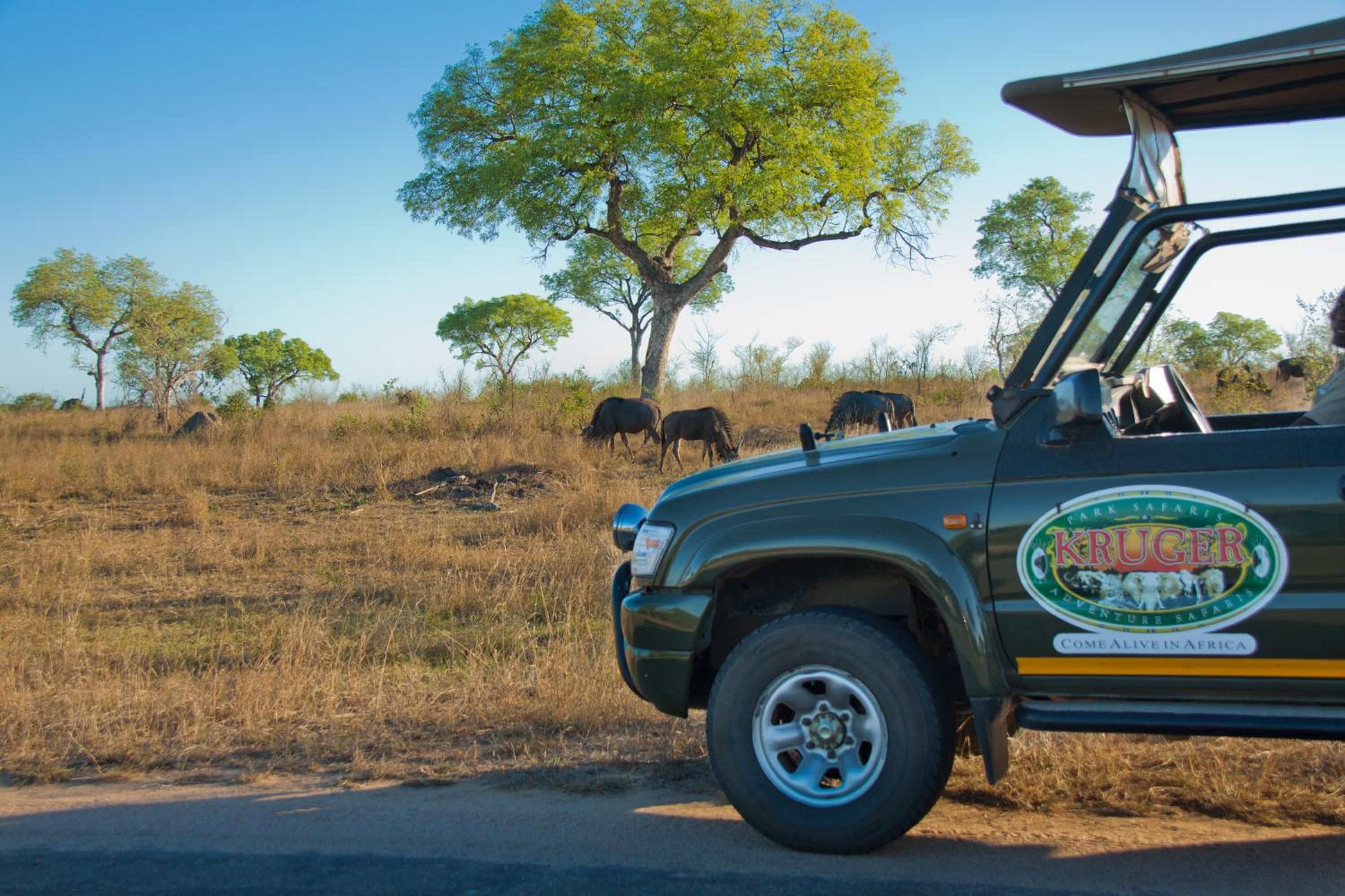 Kruger Adventure Lodge, photo 61