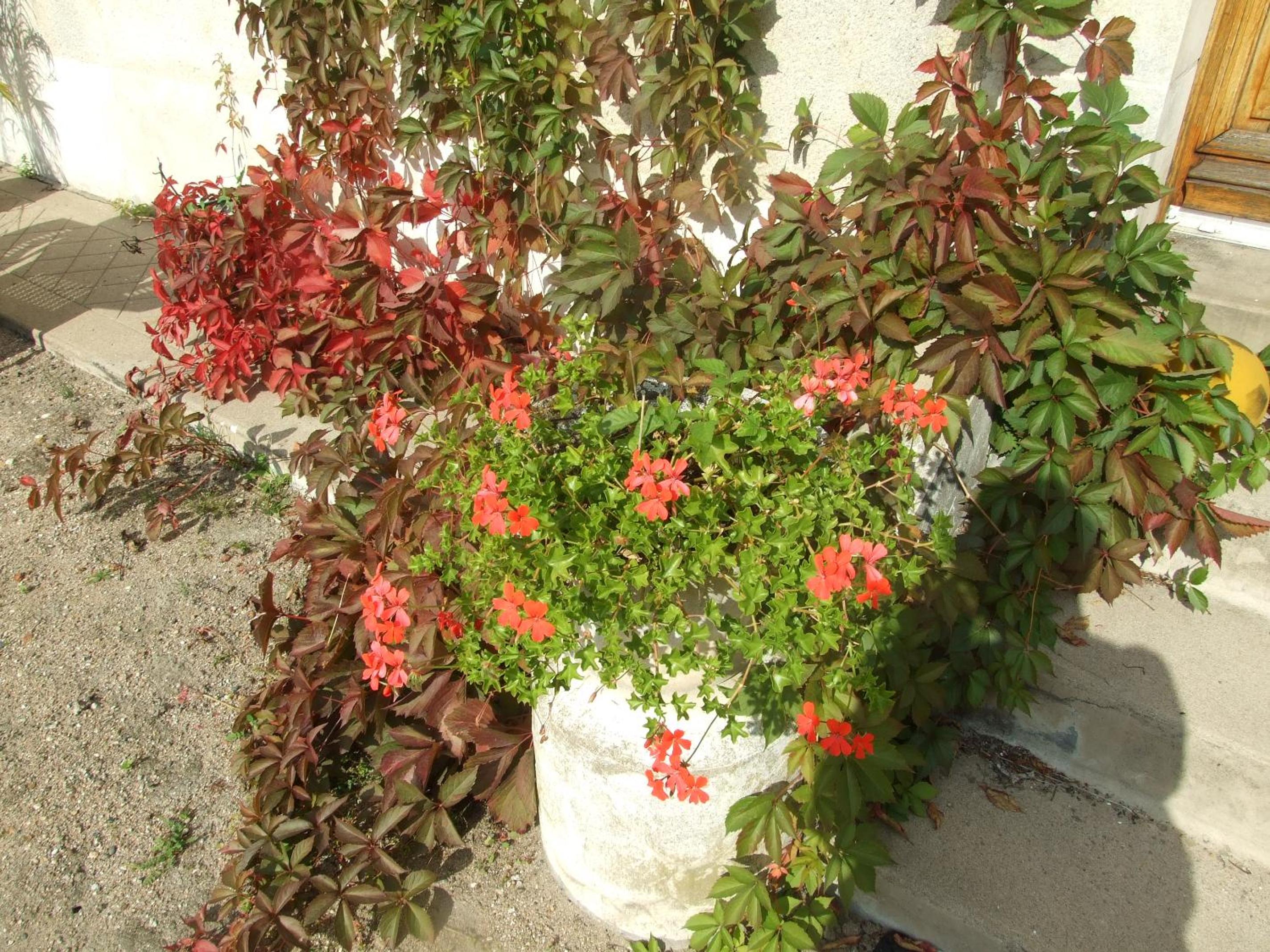 Photo 38