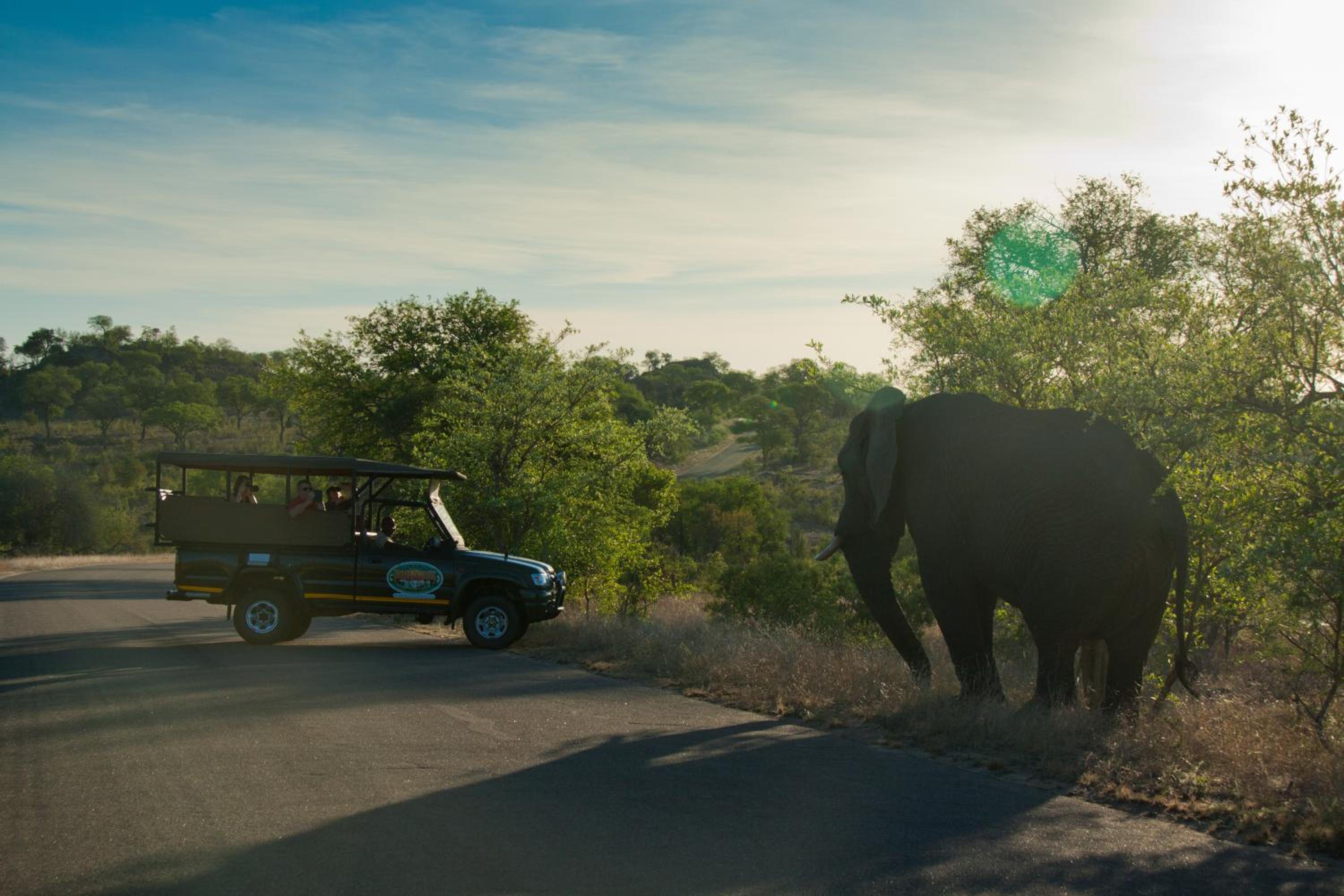 Kruger Adventure Lodge, photo 67