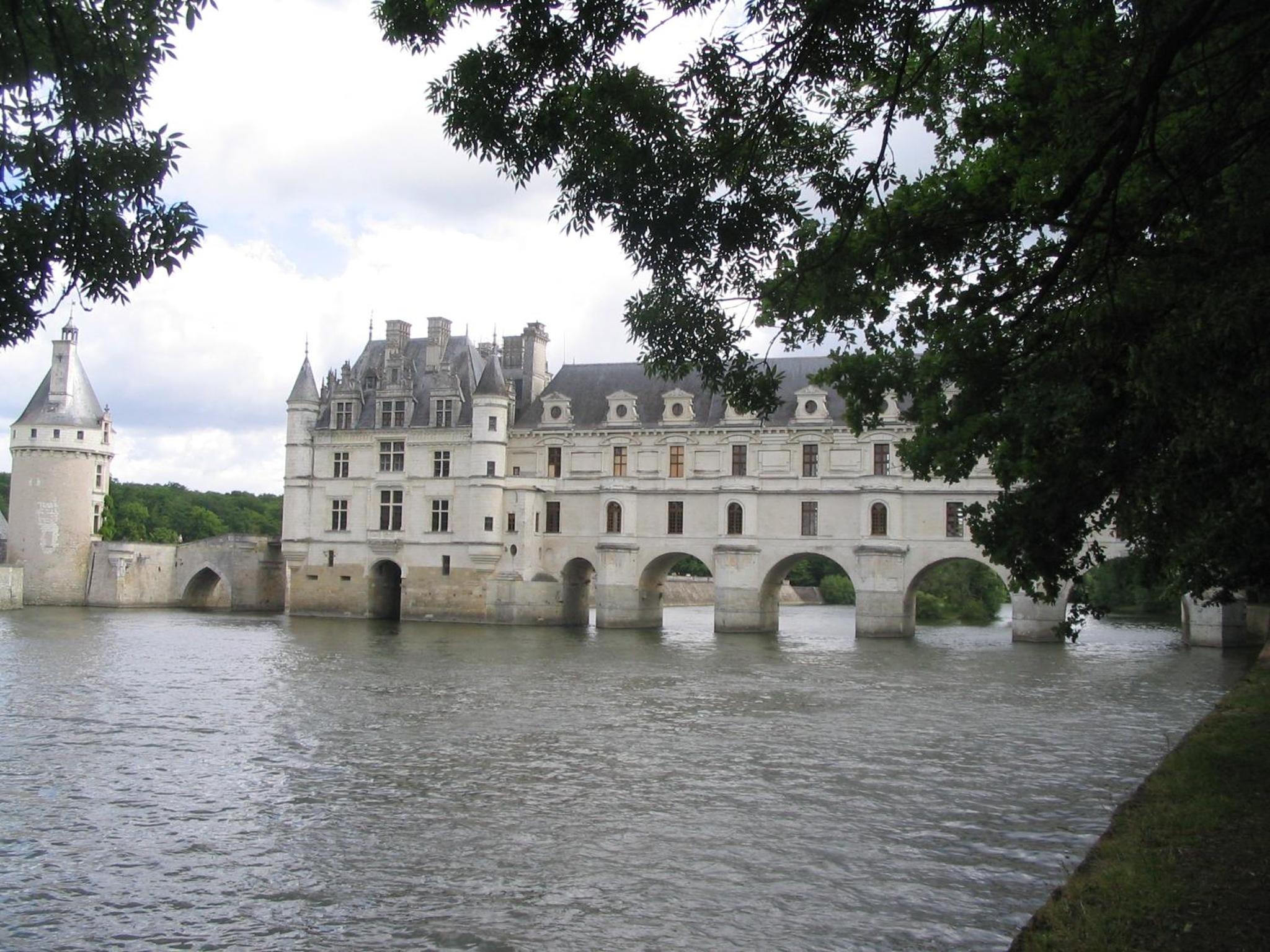 Photo 41