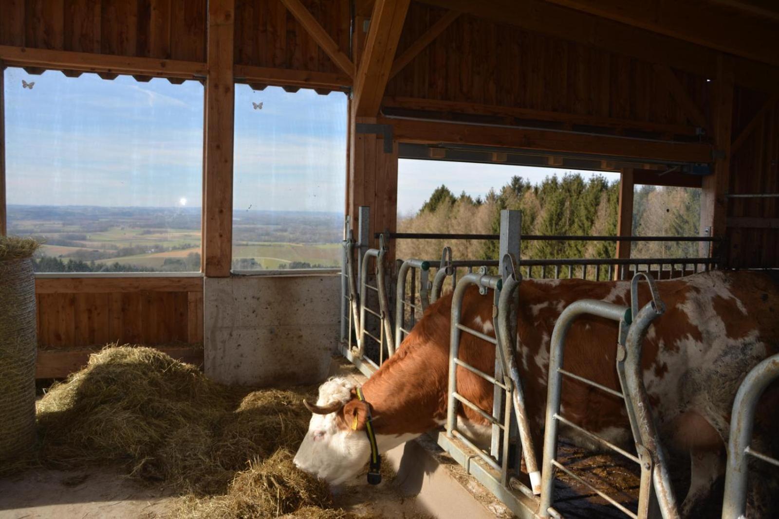Bio-Bauernhof Haunschmid
