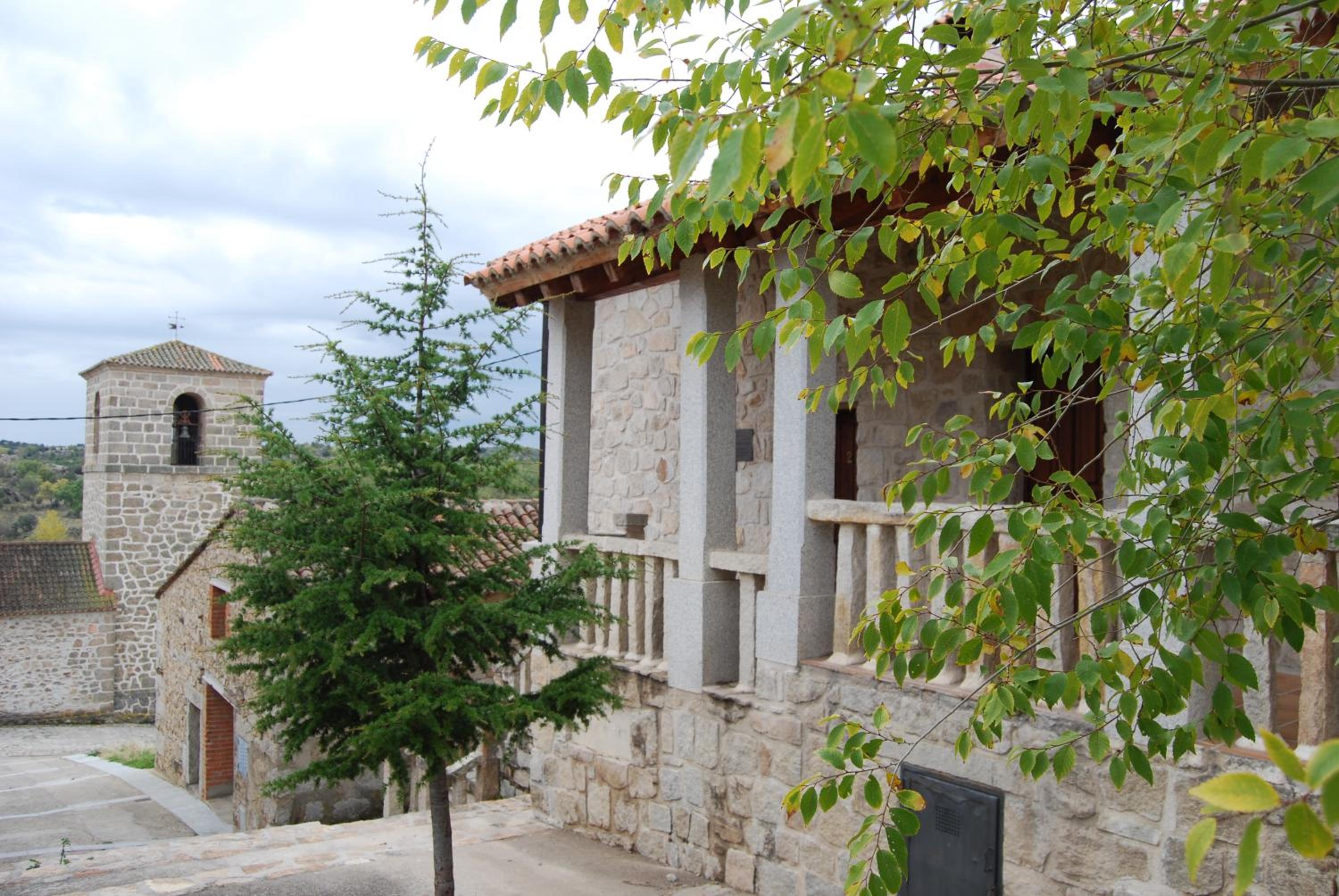 Photo 8