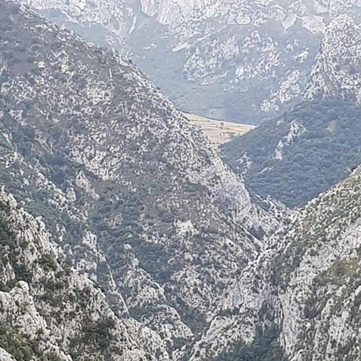 Casa Rural Pocotrigo