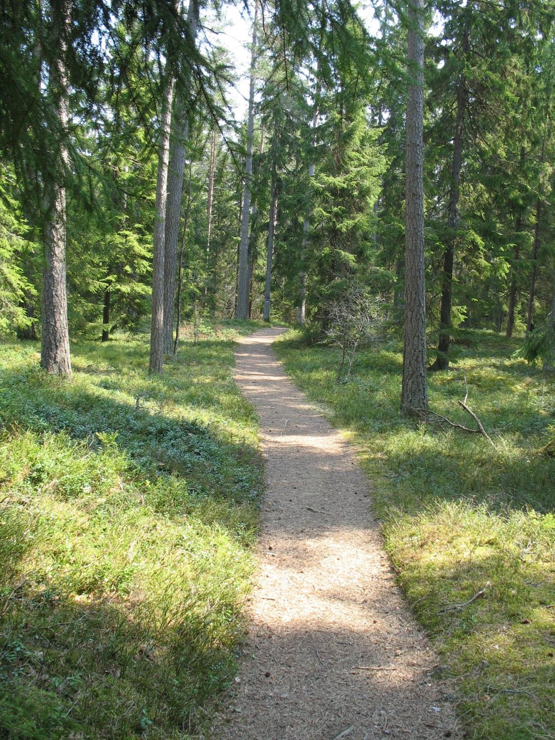 Mullsjö Folkhögskola view 4