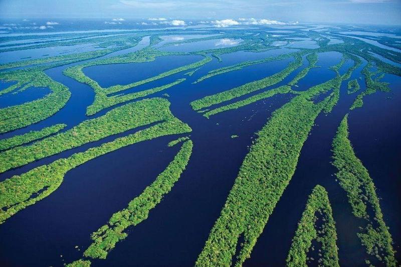 Amazônia ParkSuítes