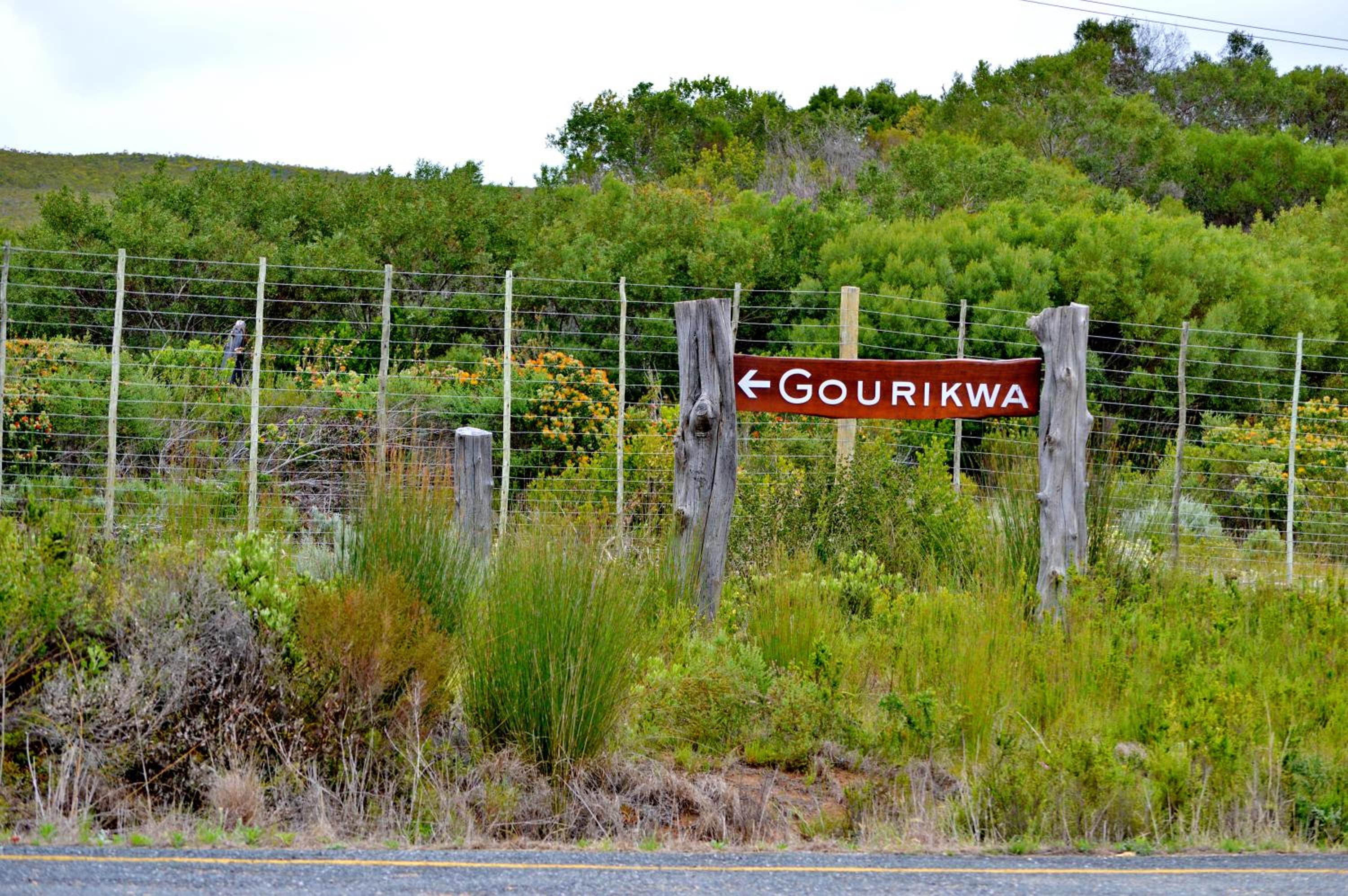 Gourikwa Coastal Nature Reserve
